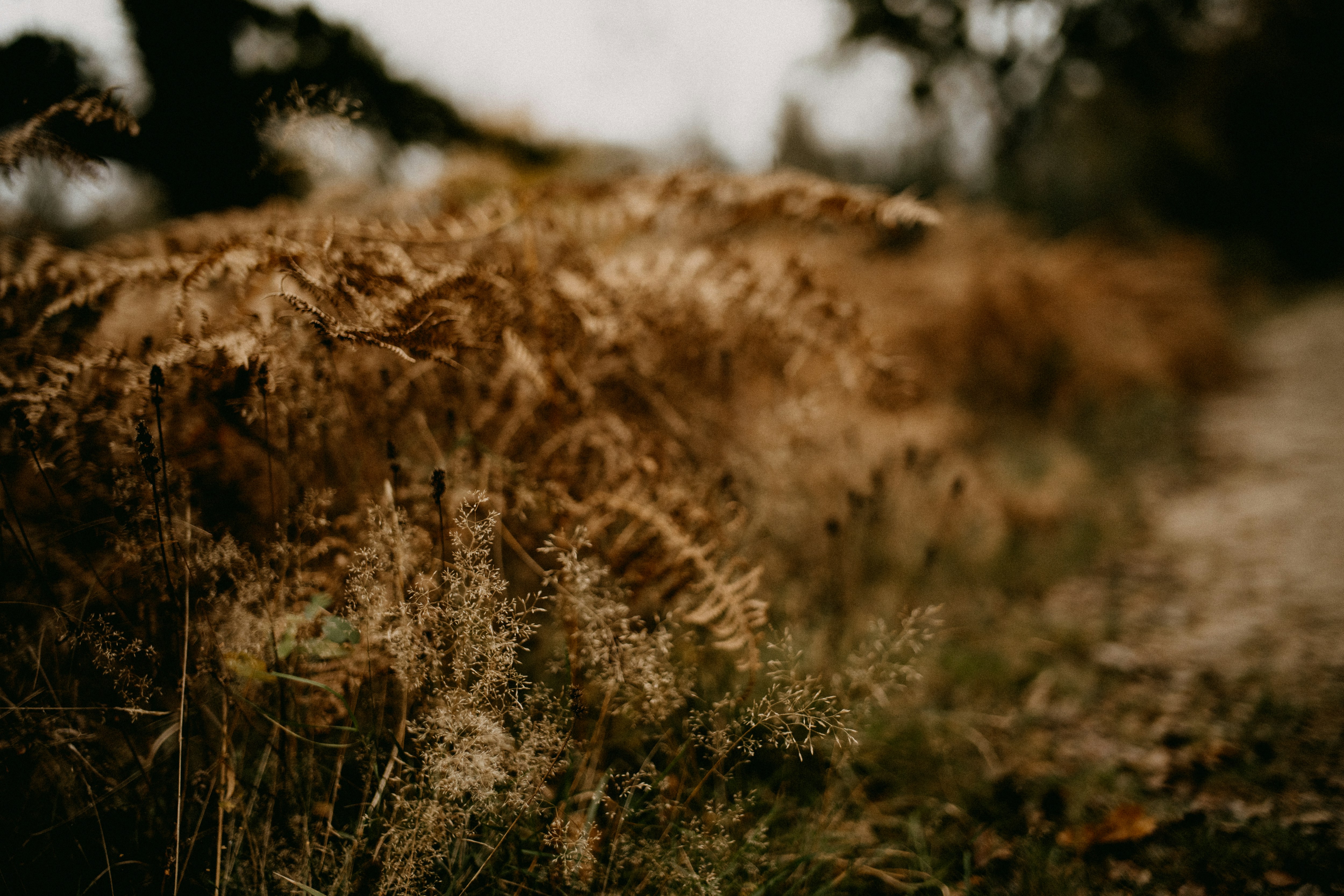 Photo by anniespratt