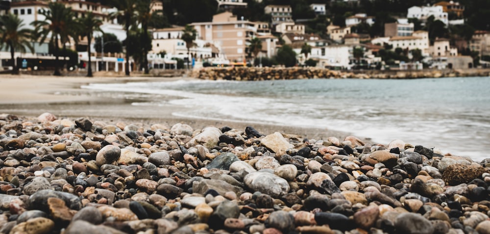 a bunch of rocks that are on a beach