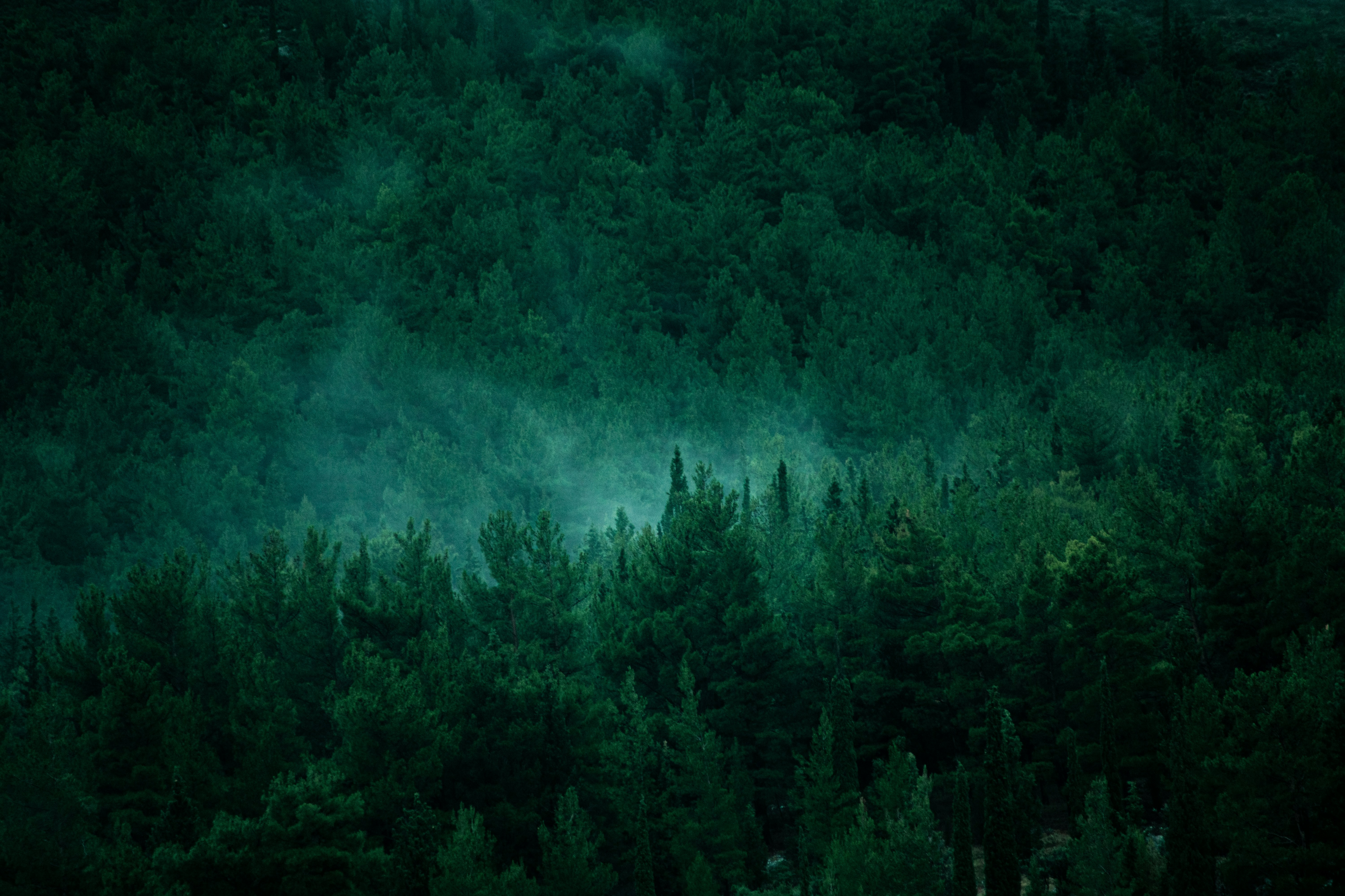 Photo by smiley_jimmy