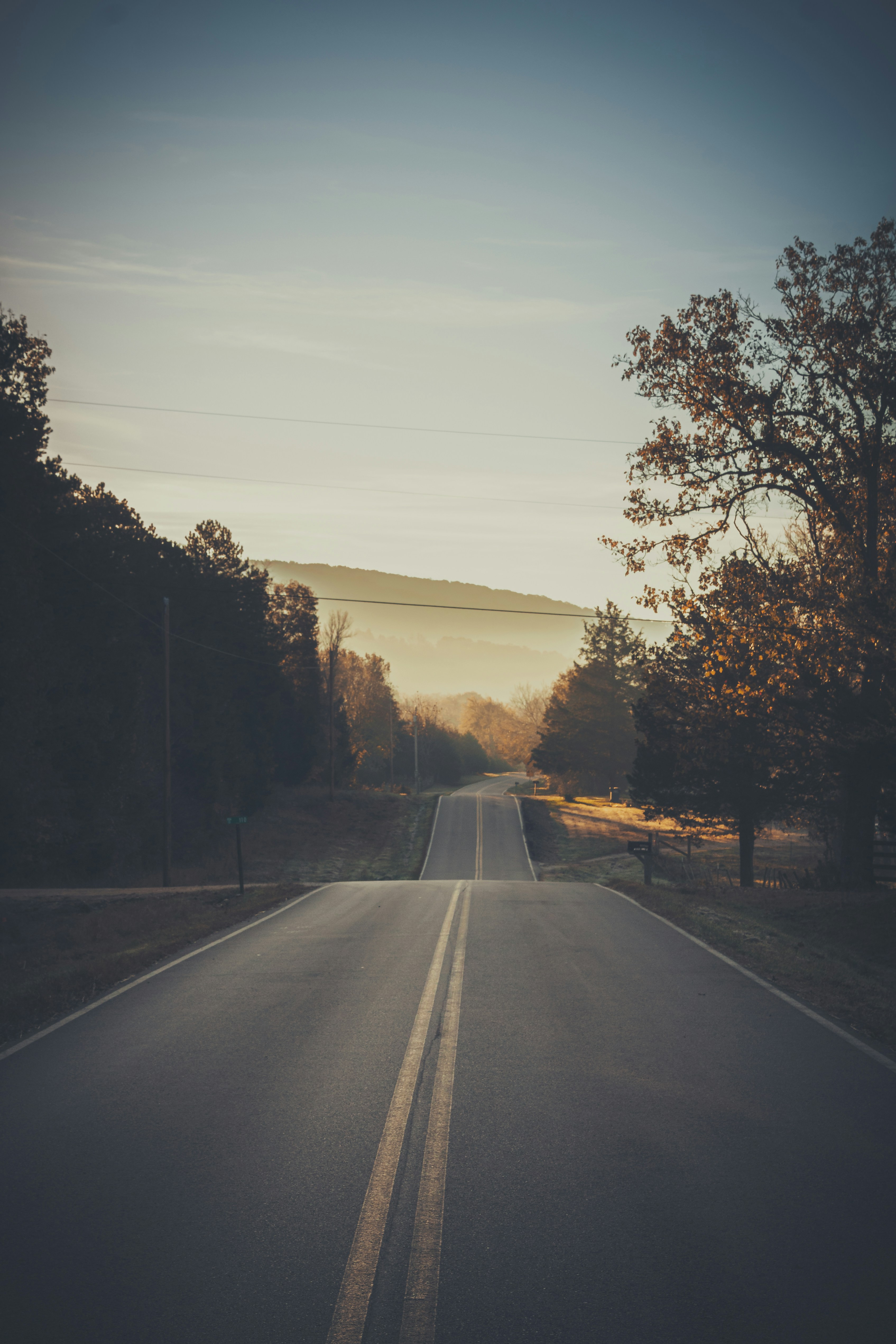 an empty road in the middle of a forest
