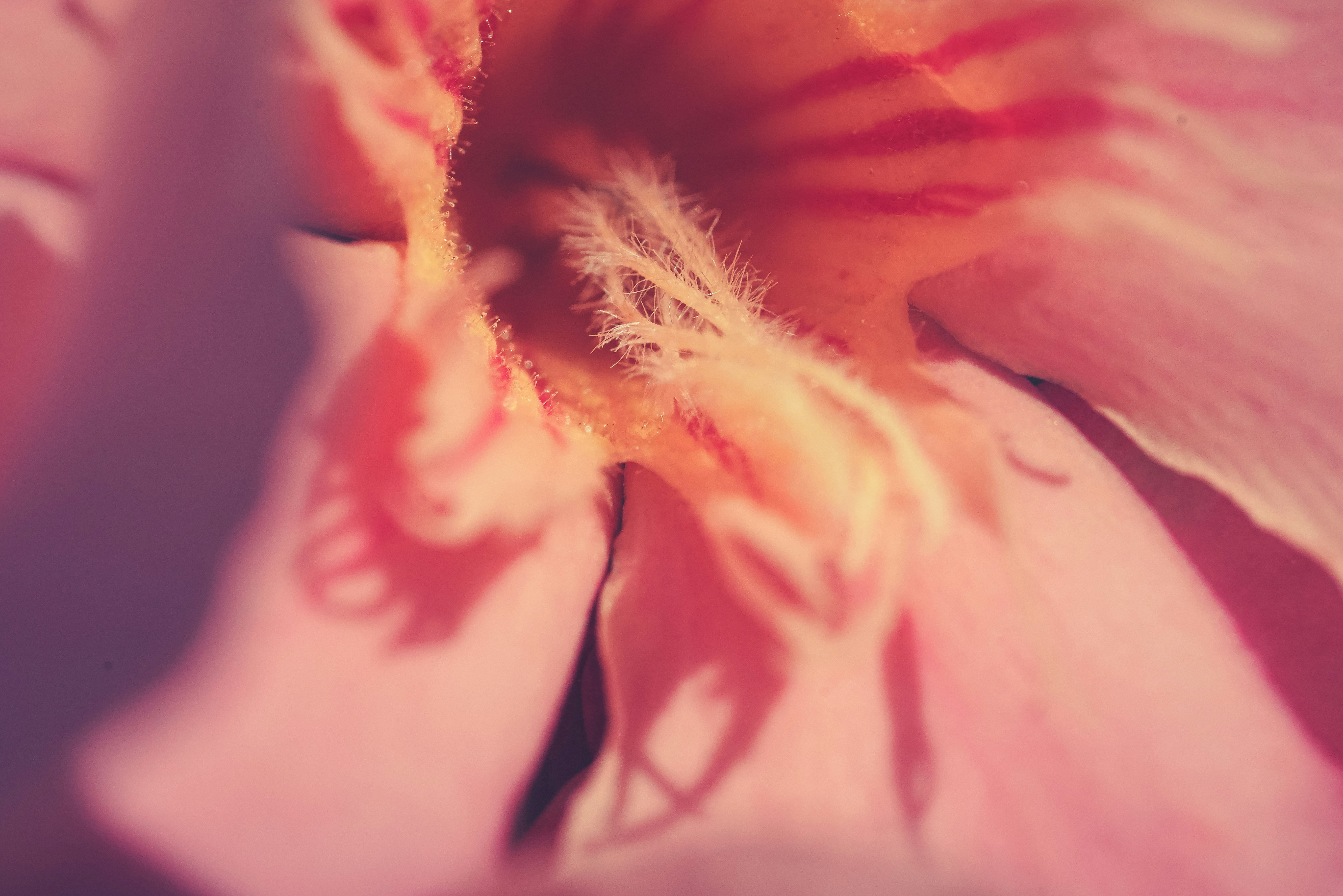 Photo by daniel_norin