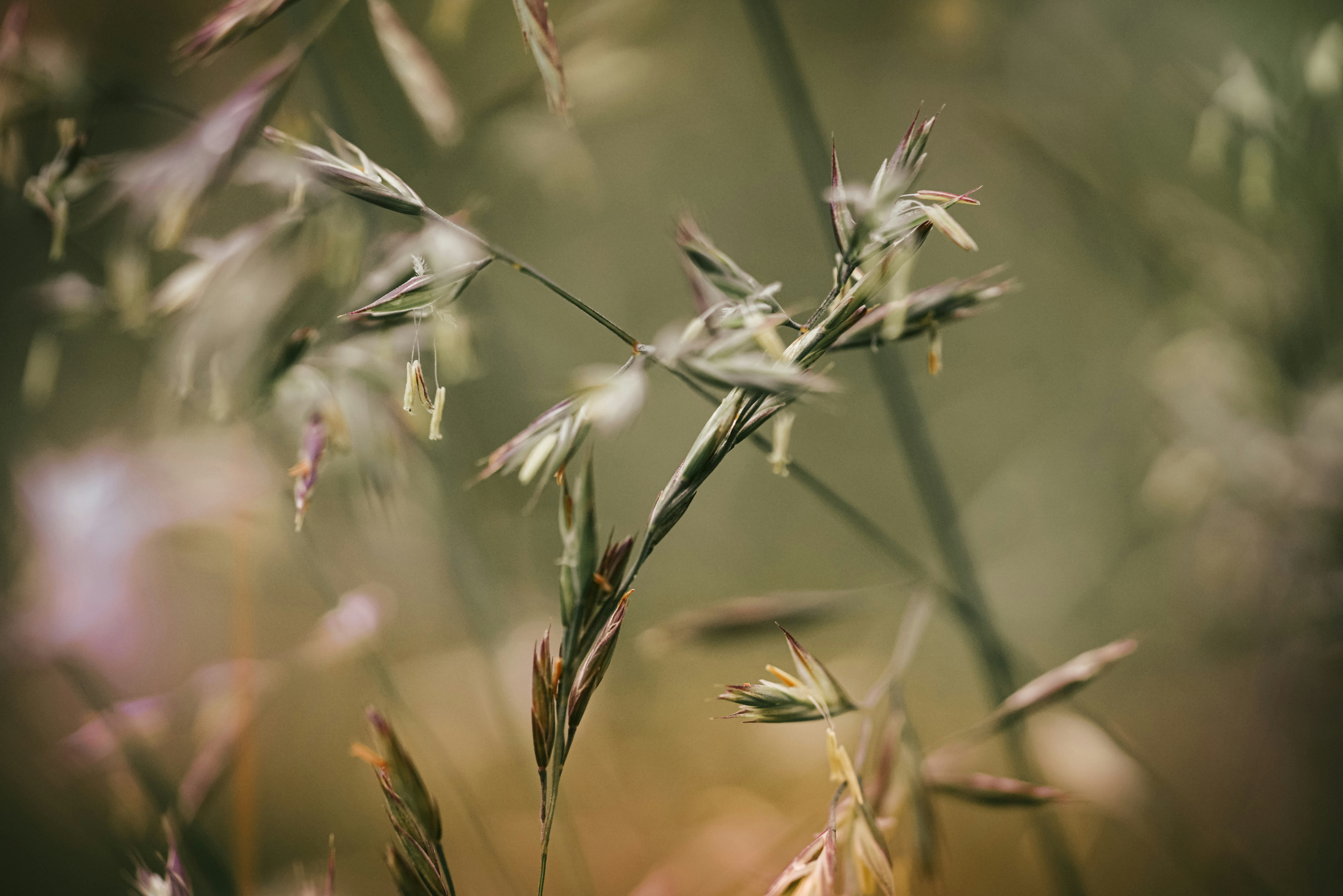 Photo by daniel_norin