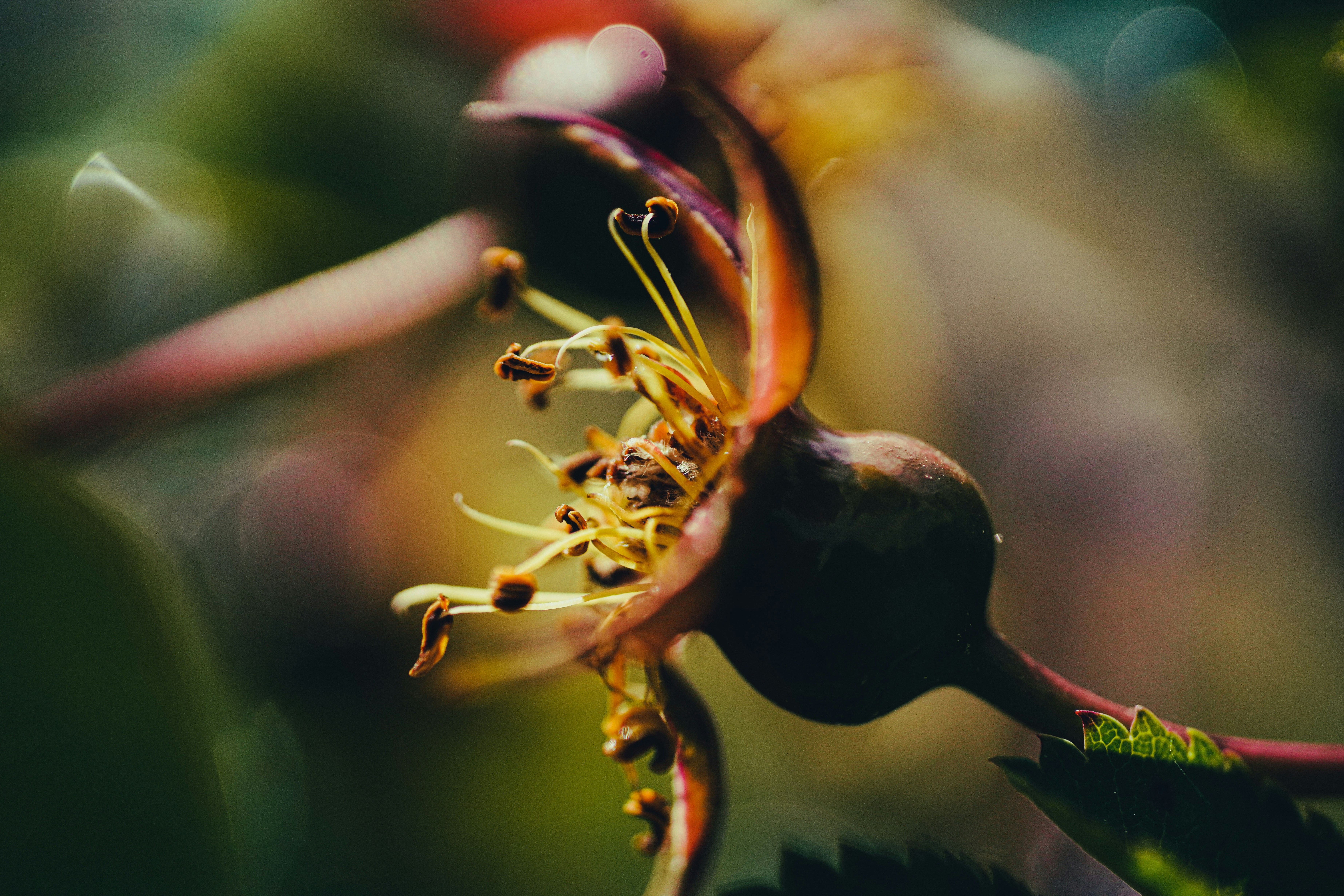 Photo by daniel_norin