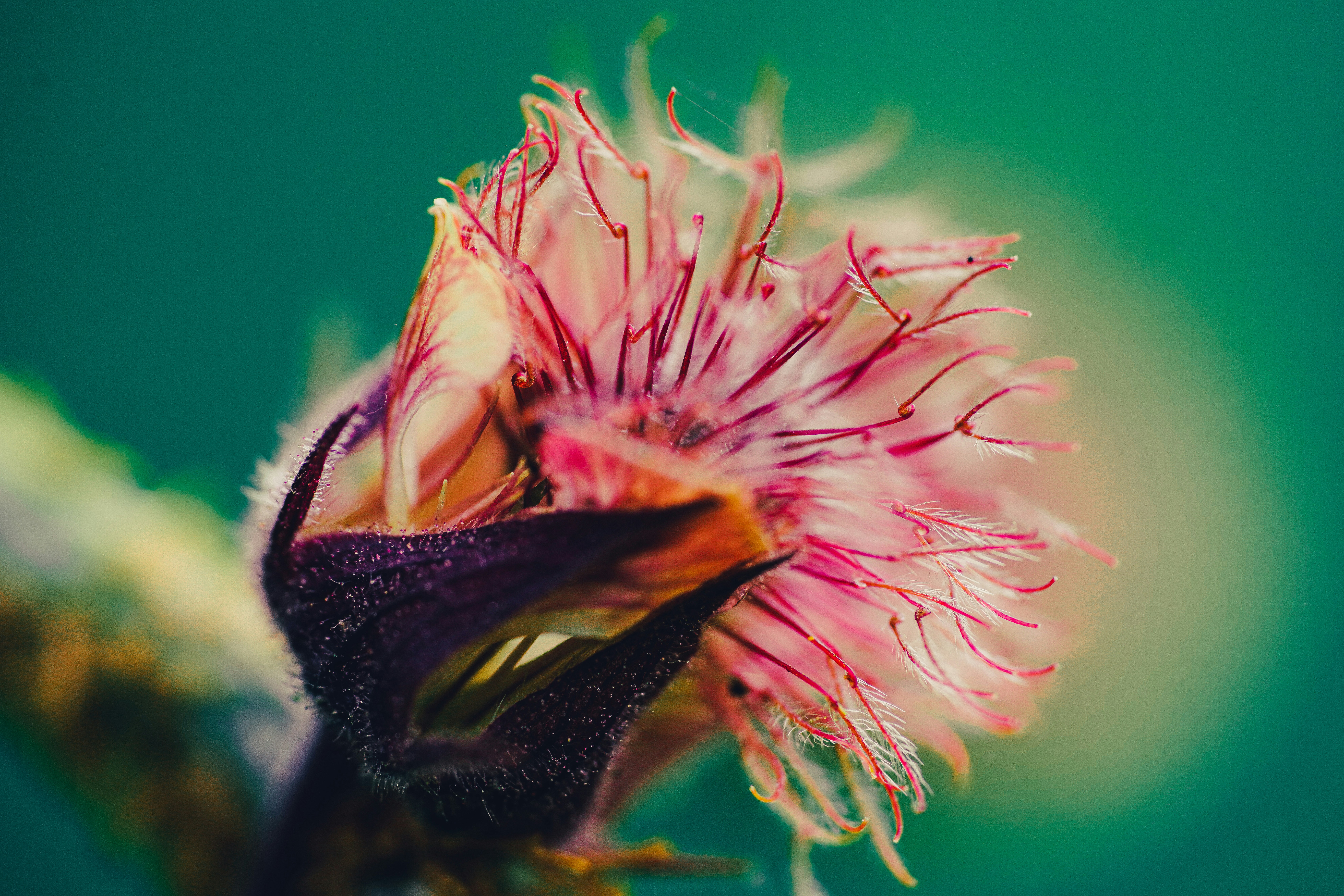 Photo by daniel_norin