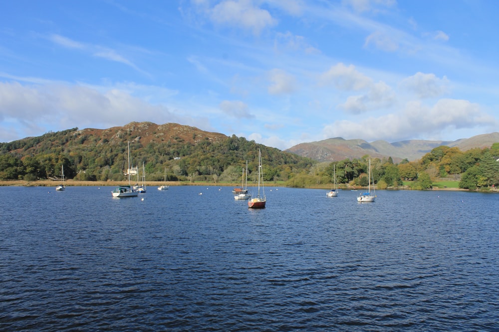 a group of boats floating on top of a lake