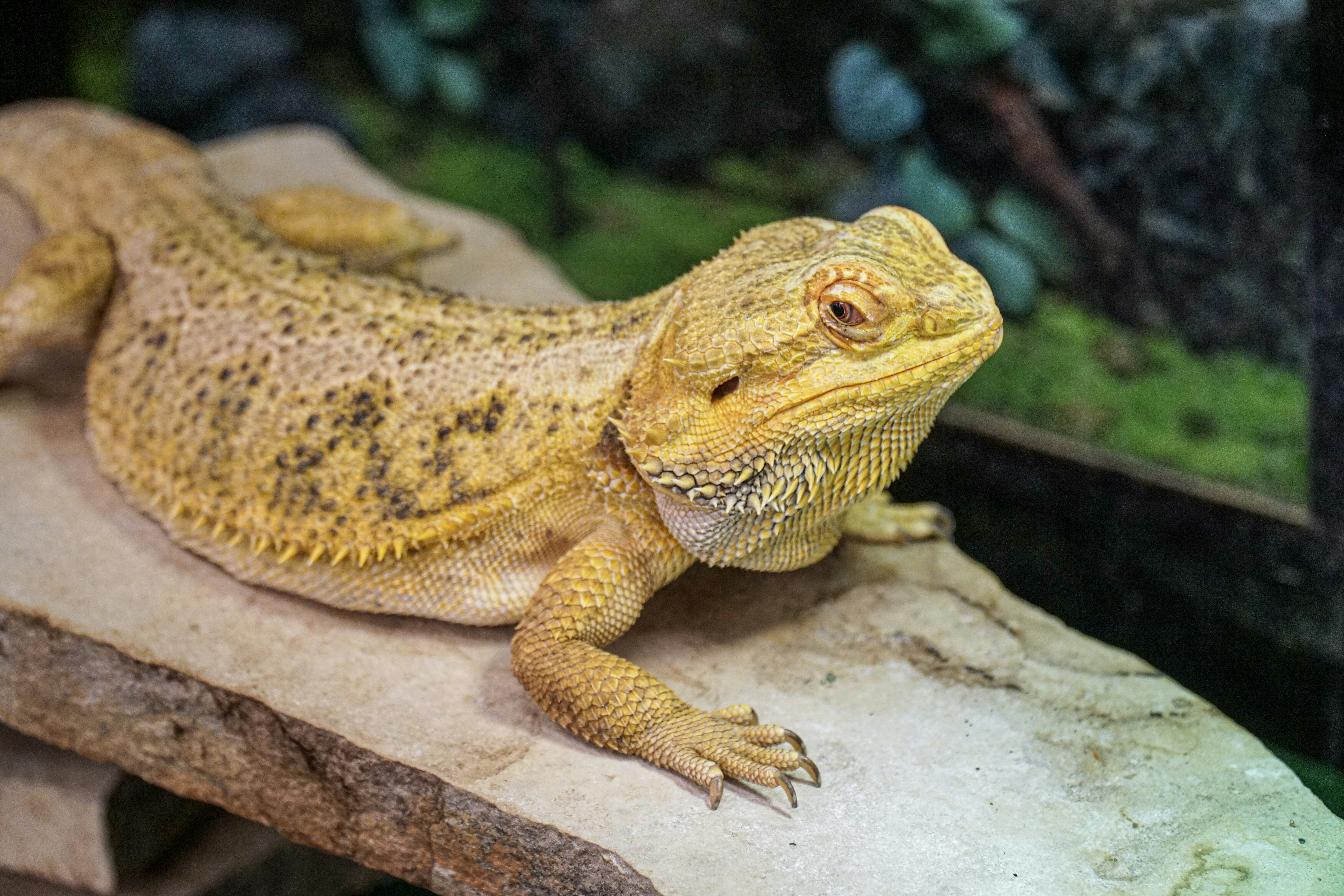 Photo by thomascpark