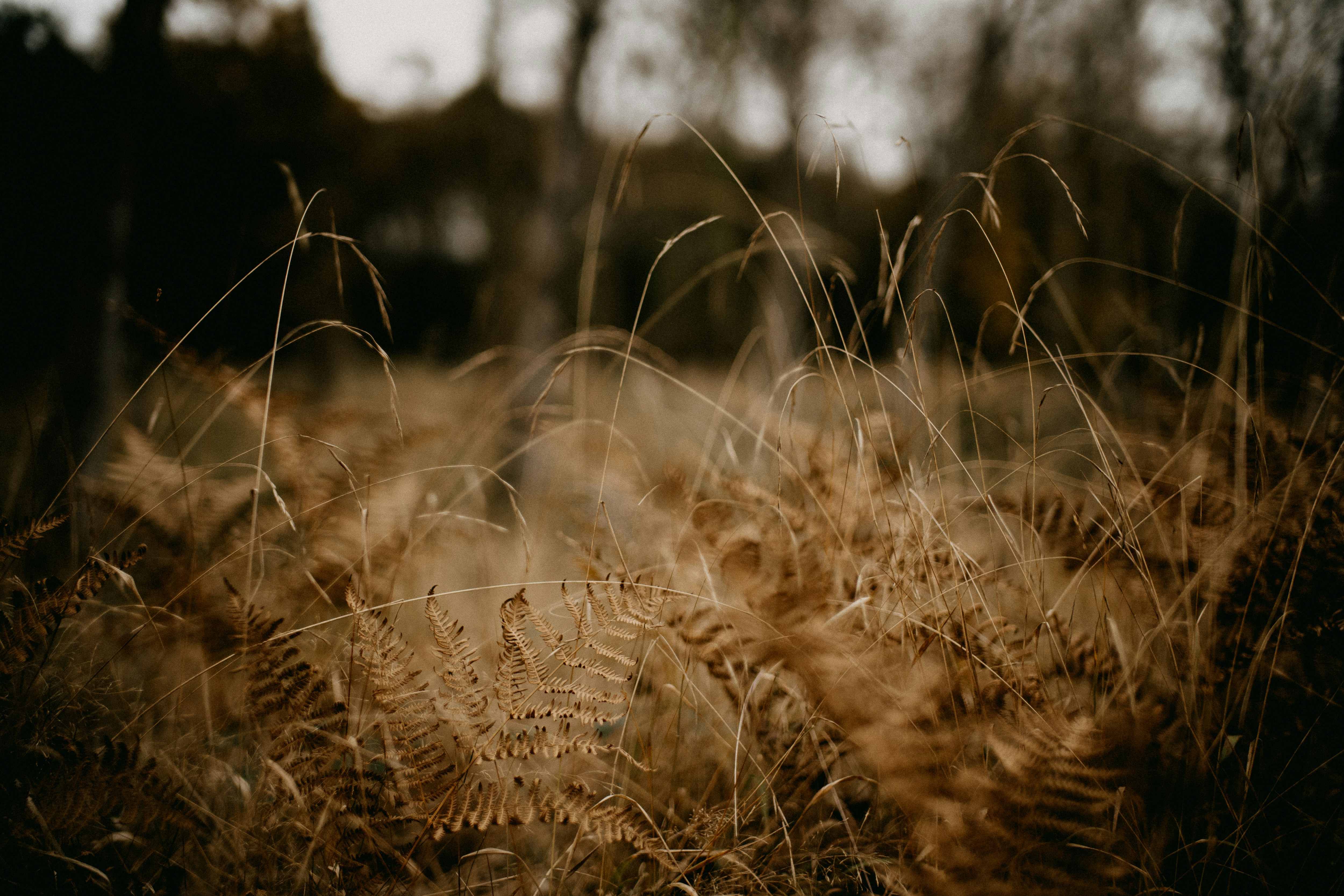 Photo by anniespratt