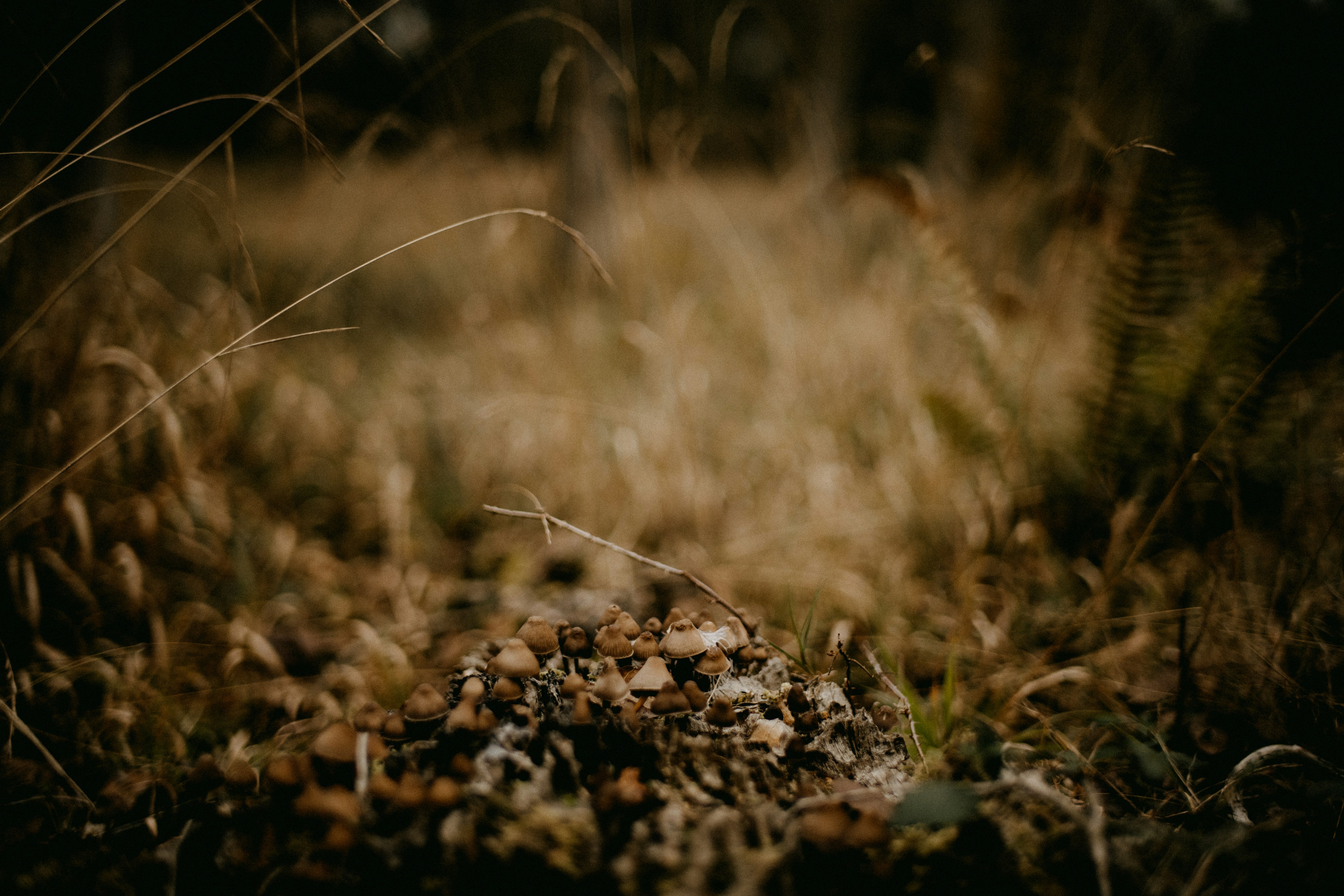 Photo by anniespratt