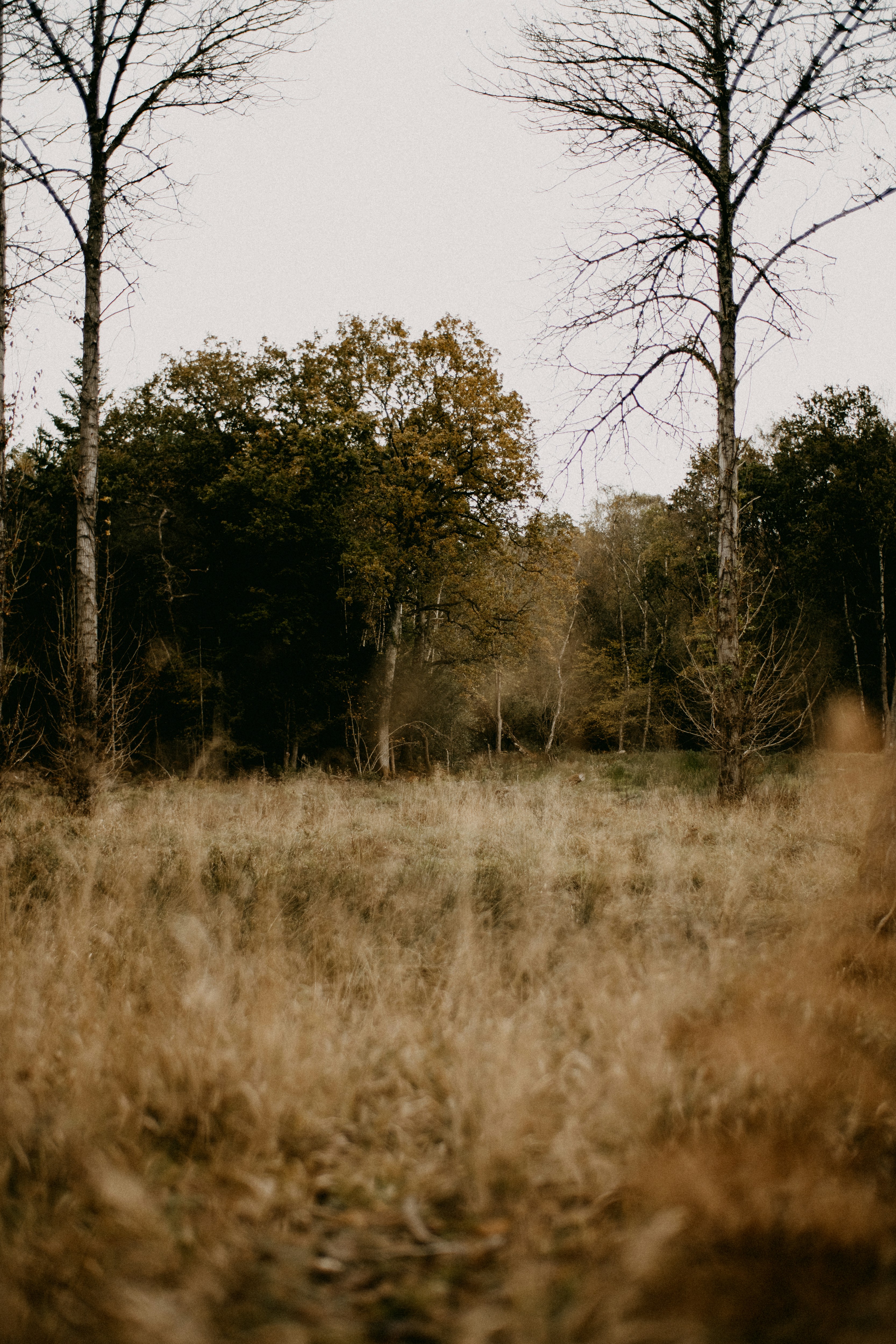 Photo by anniespratt