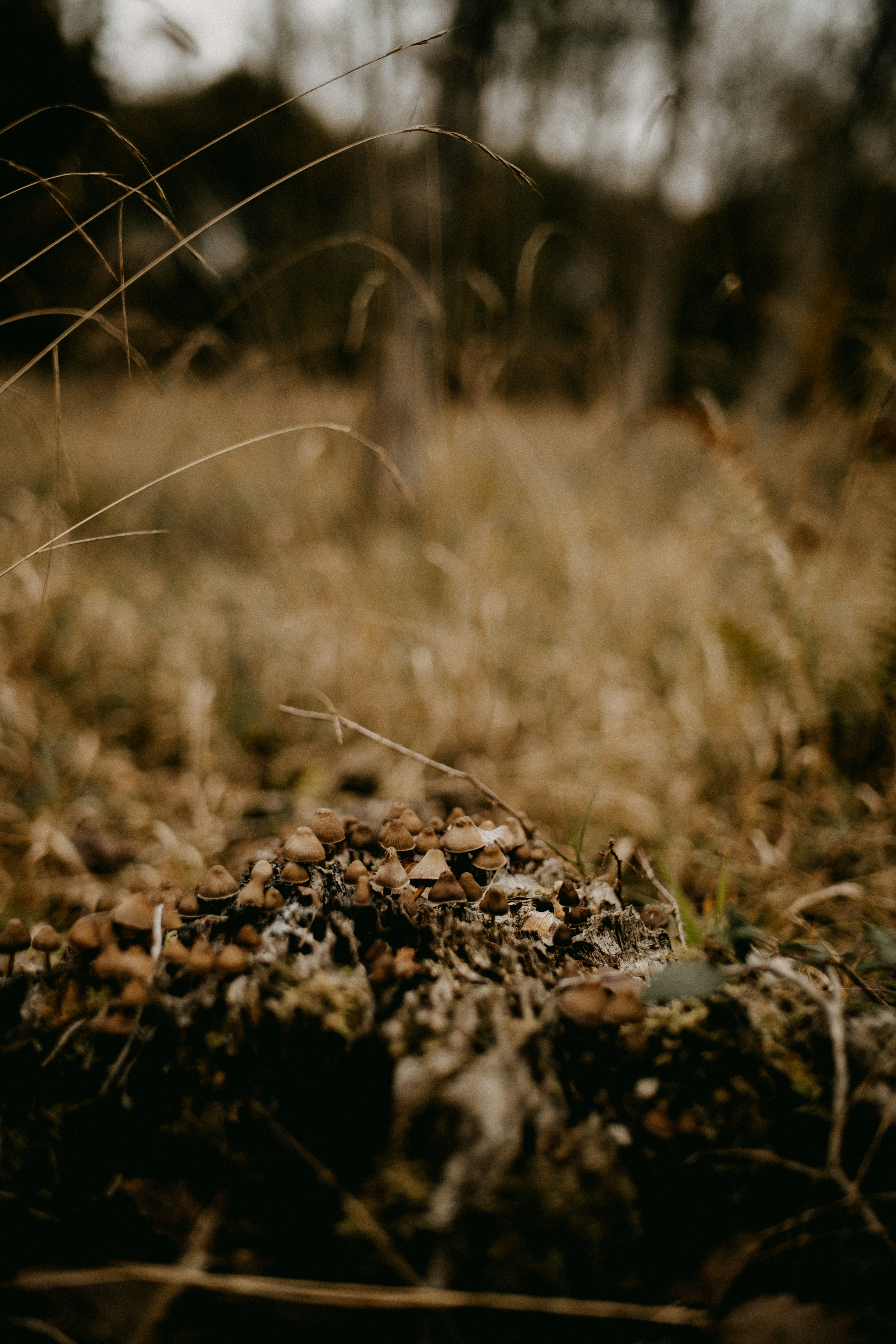 Photo by anniespratt