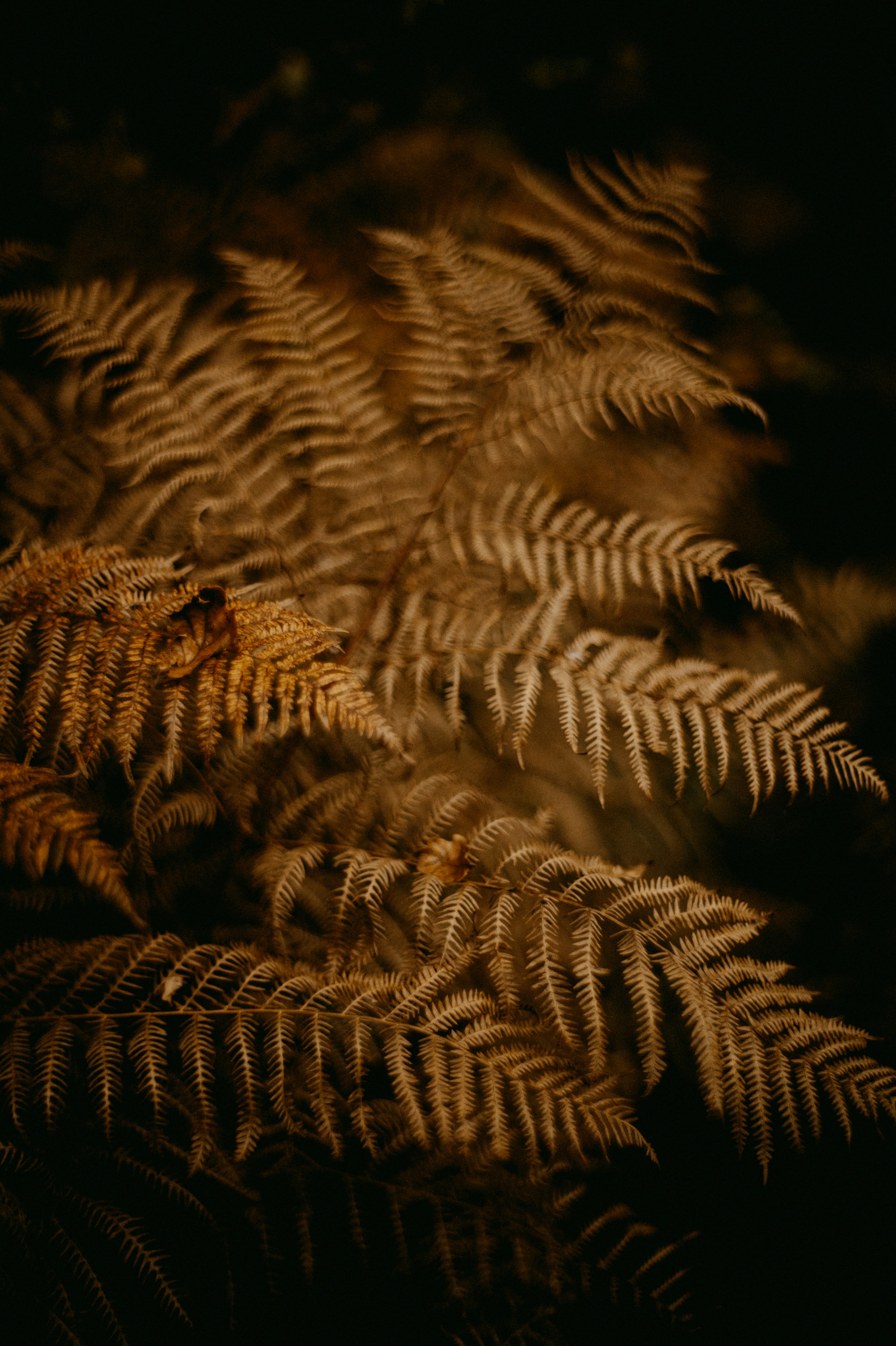 Photo by anniespratt