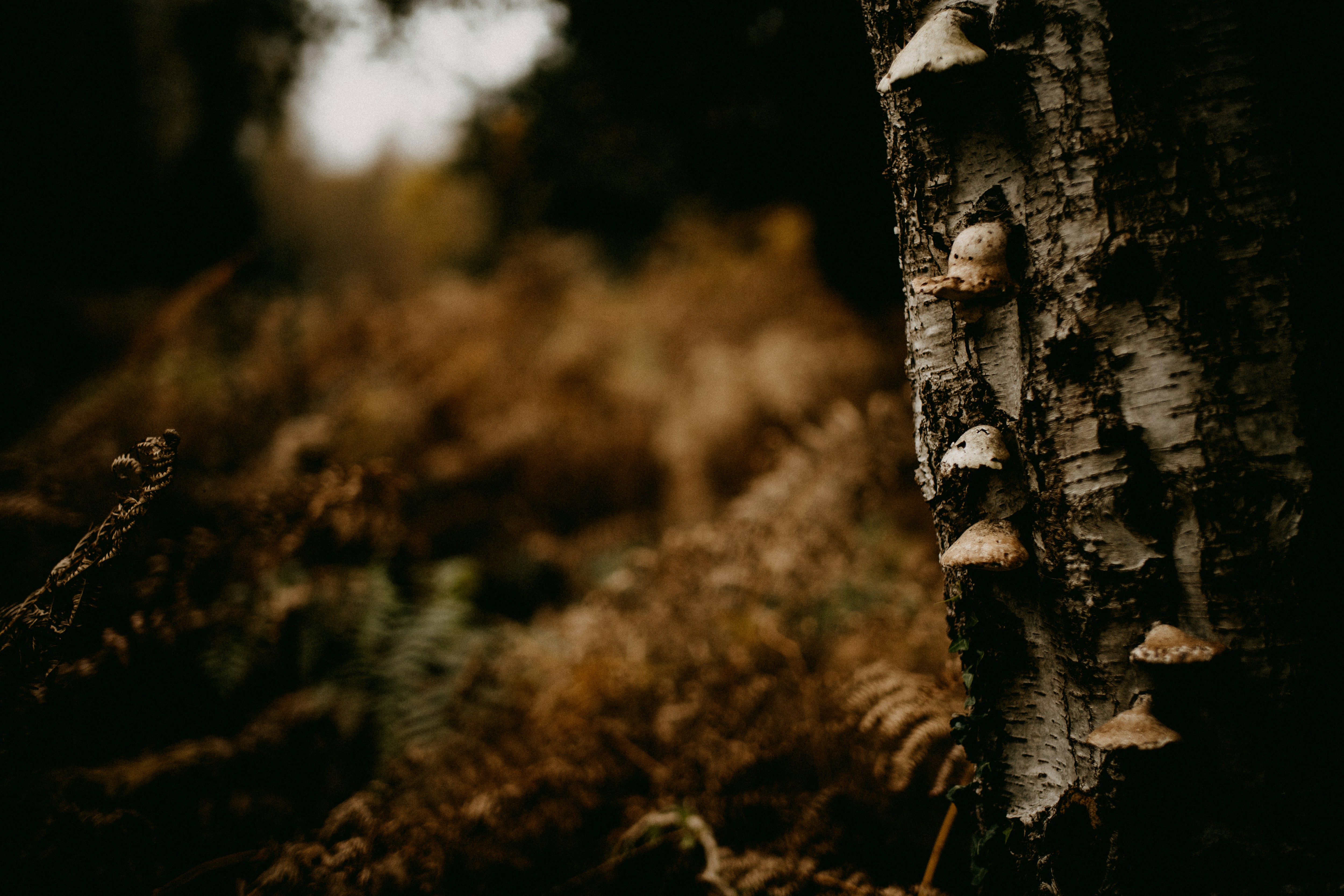 Photo by anniespratt