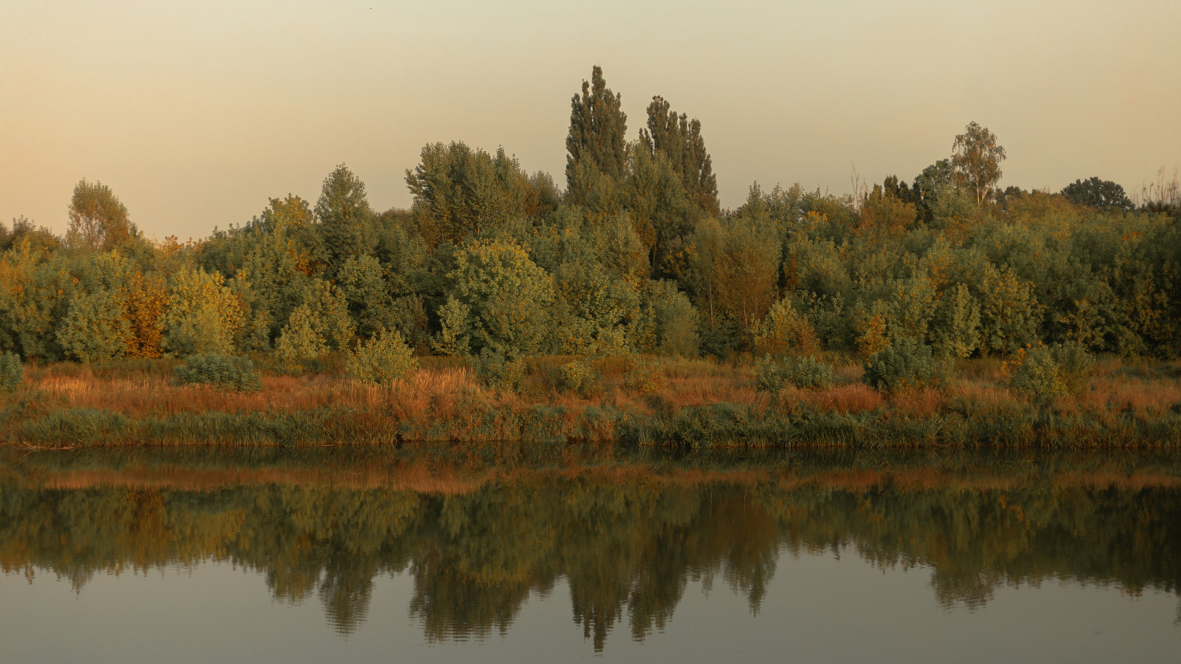 a body of water surrounded by trees and grass