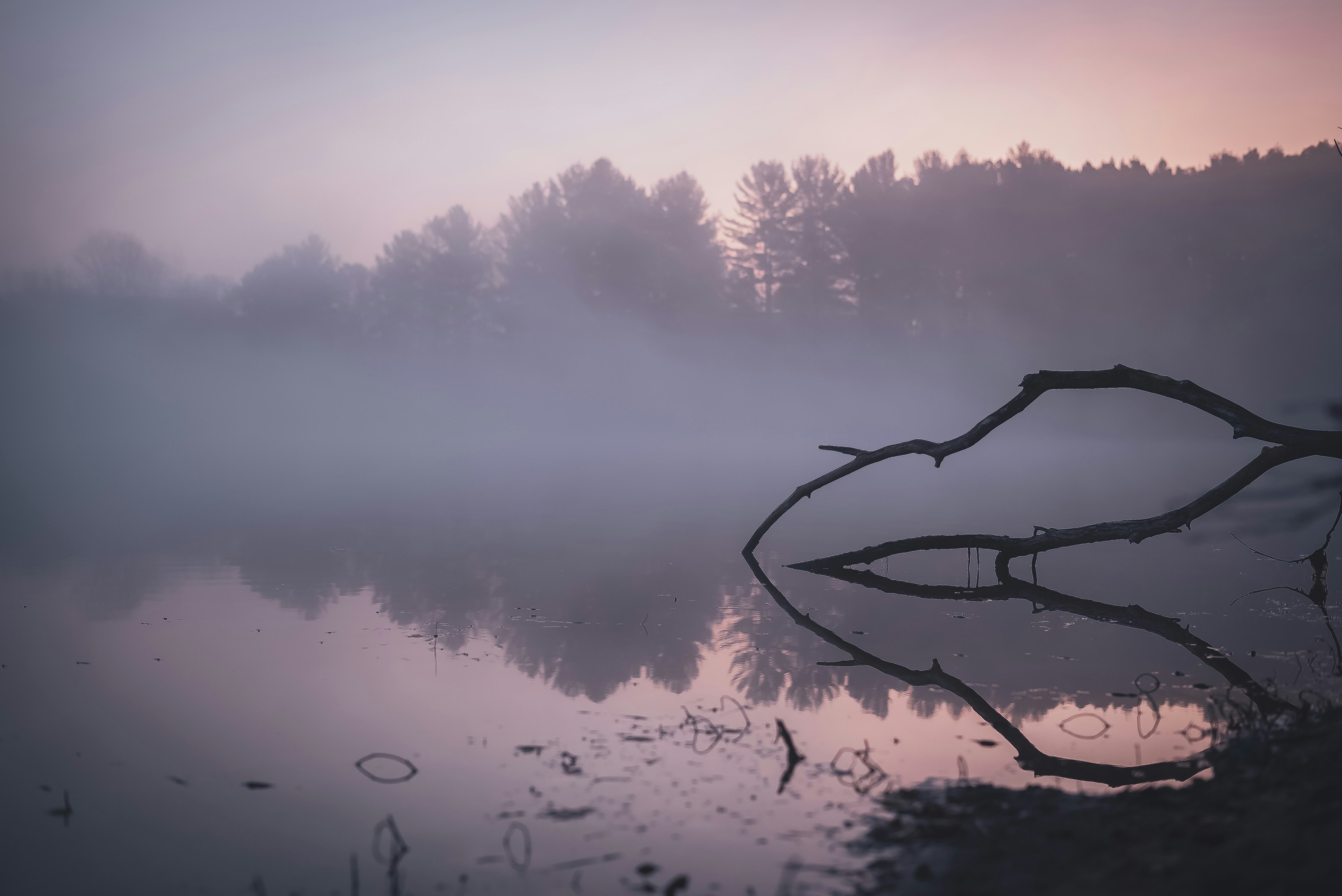 Photo by mythosvisuals