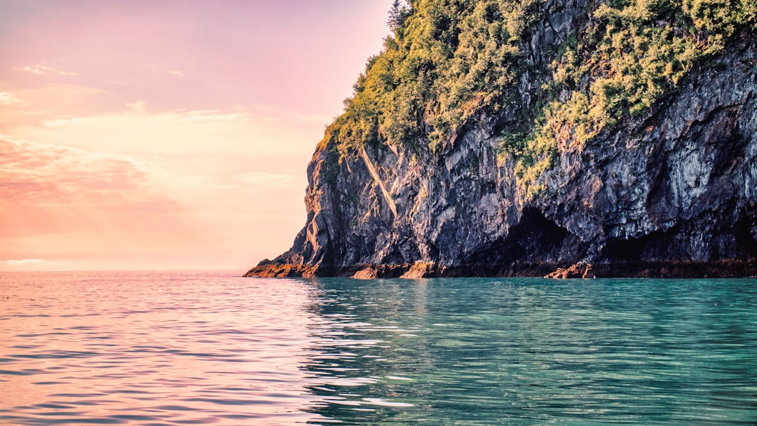 a rock outcropping in the middle of a body of water, Kenai Fjords