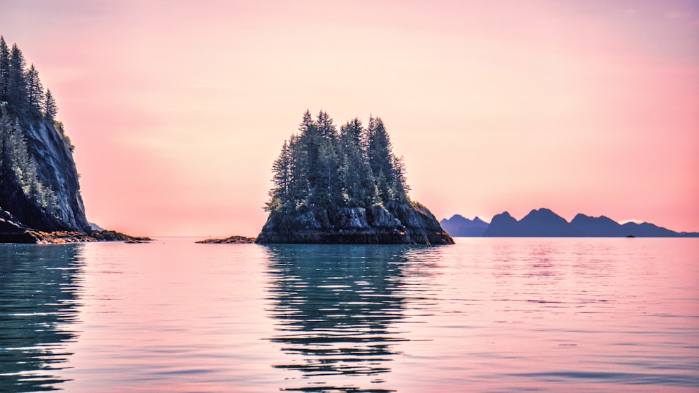 a body of water surrounded by trees and mountains