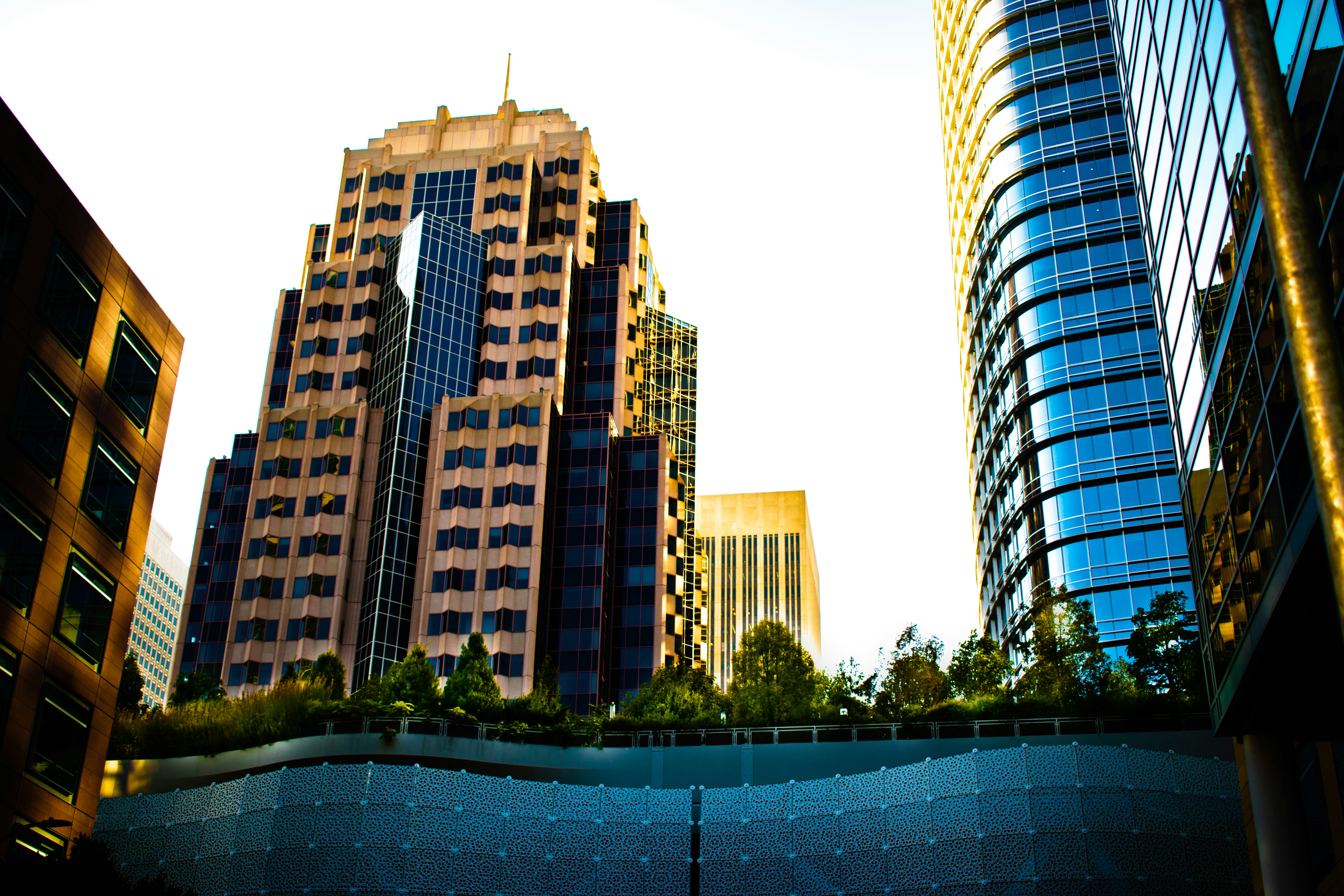 Photo by rylidavis94