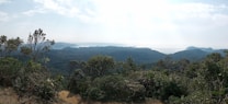 A picturesque view of a lush green forested landscape with rolling mountains in the distance. The sky is partly cloudy and the sun casts a gentle light over the trees and hills, creating a serene and peaceful atmosphere.