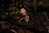 A small, tree-like creature with large eyes and a gentle expression sits on a mossy log in a dense forest. Surrounding the creature are fallen leaves and various shades of green foliage, creating a natural and vibrant setting.