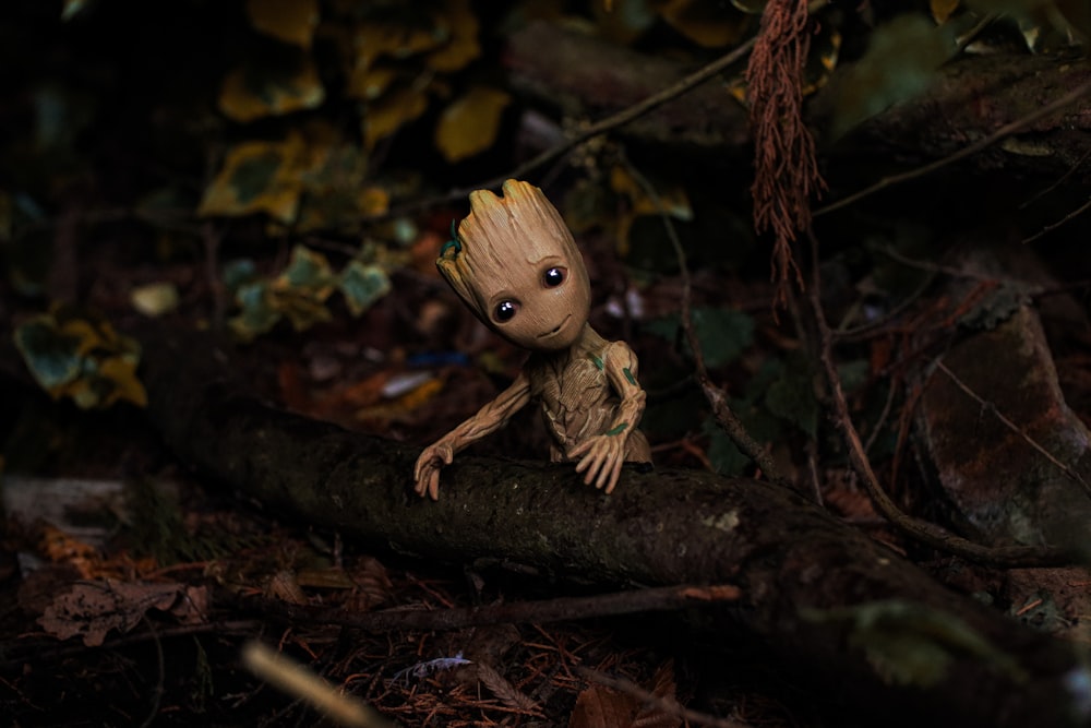 Ein kleines Baby Groote sitzt auf einem Baumstamm im Wald
