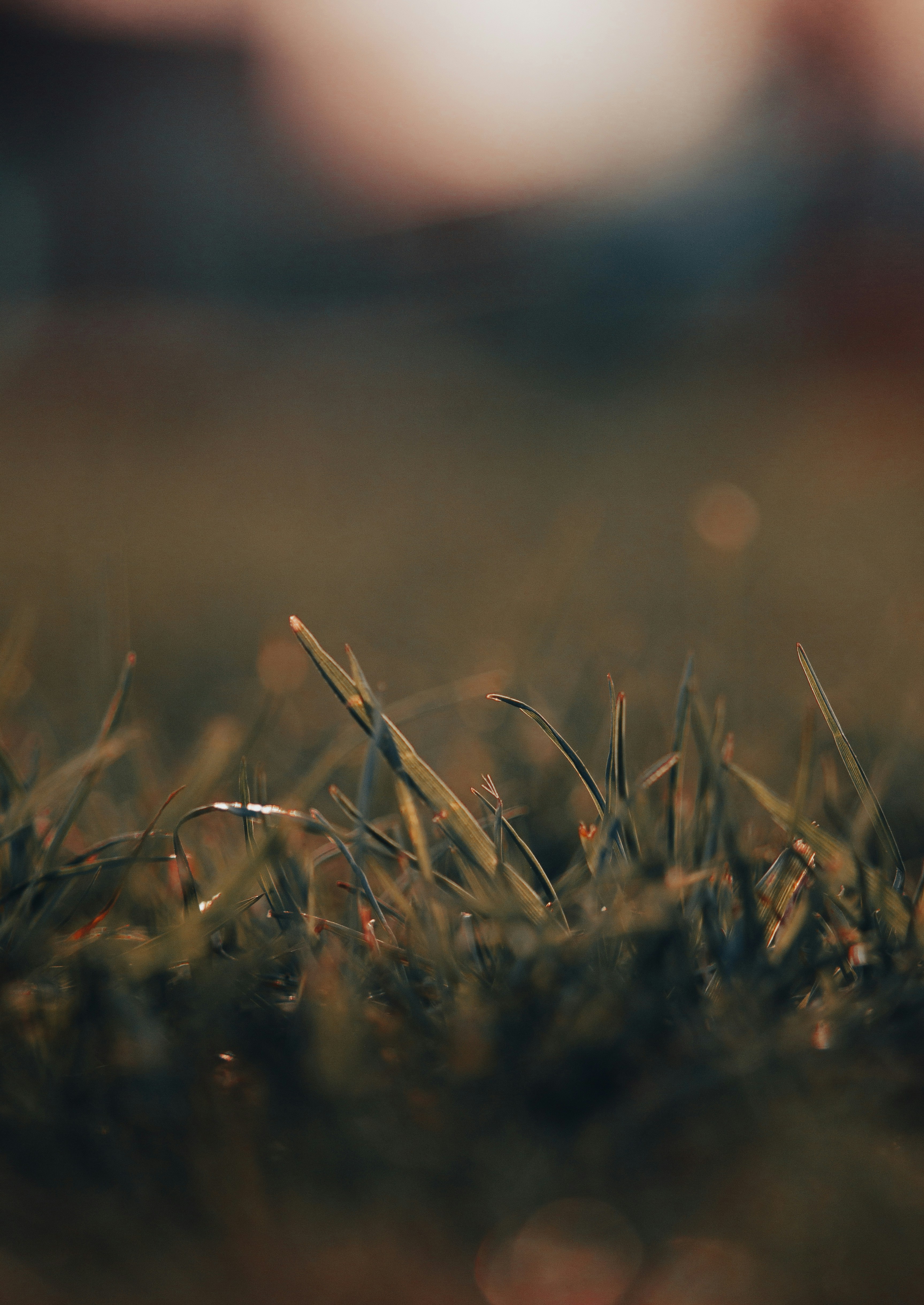 Photo by photographer_esmihel