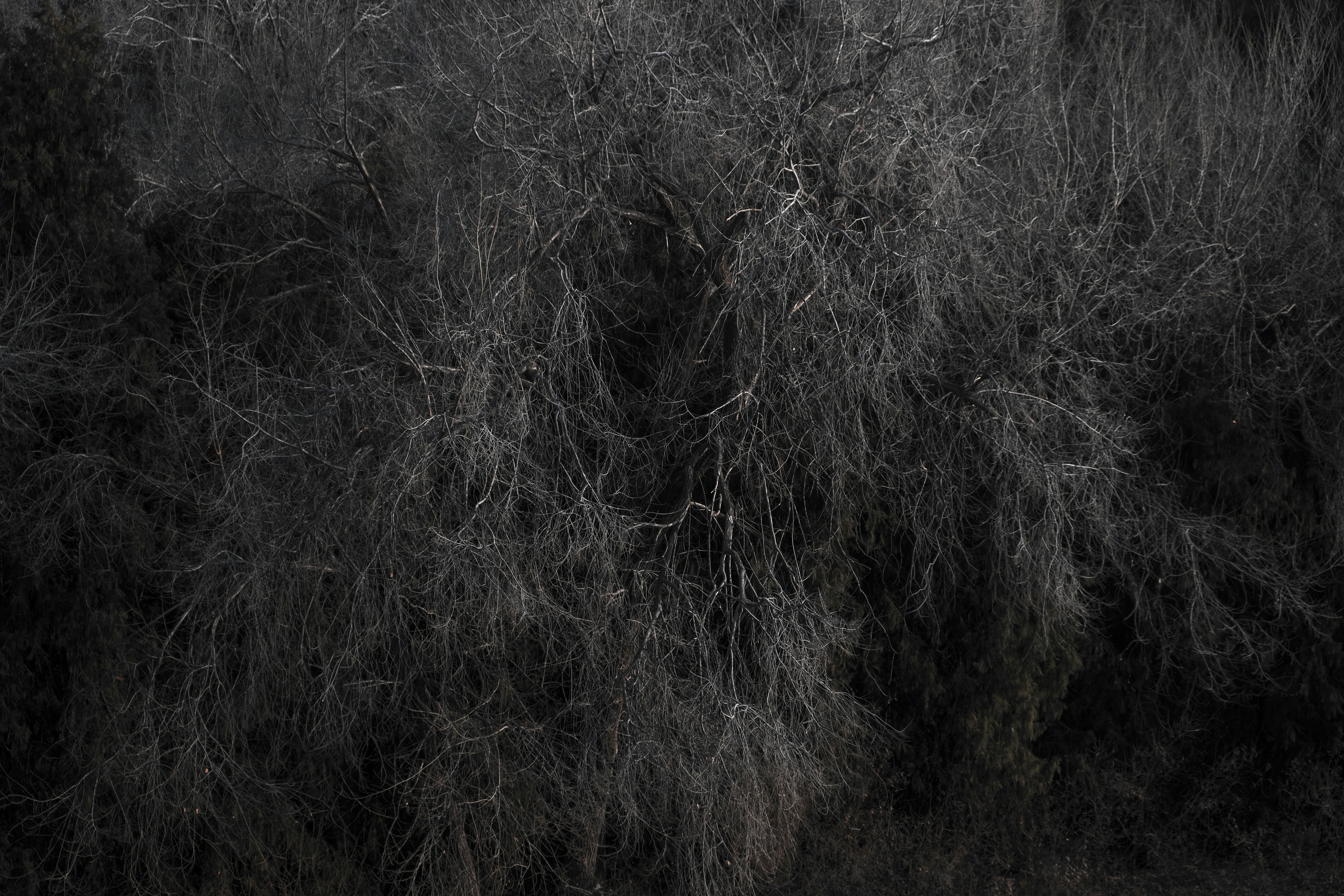 Photo by dynamicwang