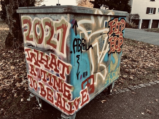 A metal dumpster is covered with colorful graffiti featuring bold text such as '2021', 'WHAT A TIME TO BE ALIVE', and 'HIP HOP'. The graffiti is a mix of red, blue, and black colors with artistic lettering and designs. The dumpster is situated outdoors near a paved path, surrounded by fallen leaves and trees in a suburban neighborhood.
