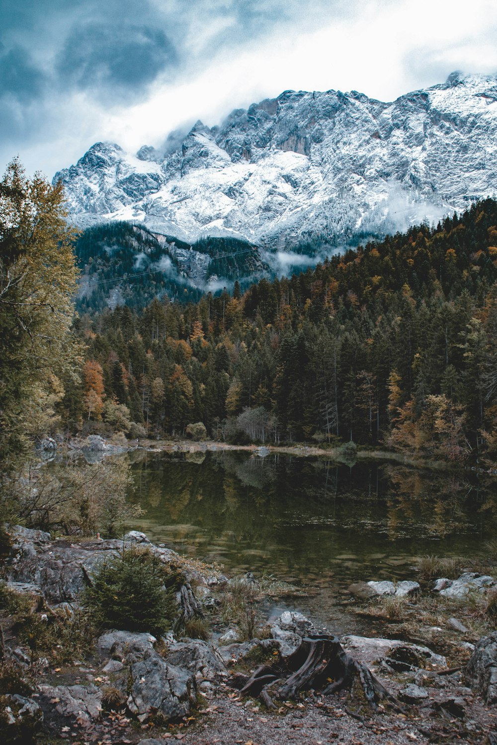 a body of water surrounded by mountains and trees