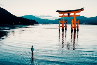 a person standing in the water in front of a floating tori tori