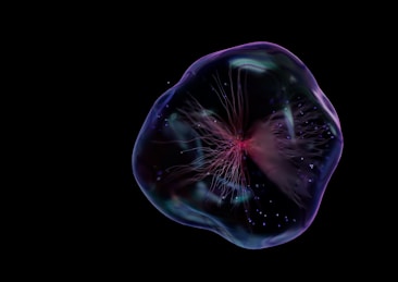 an image of a jellyfish in the dark