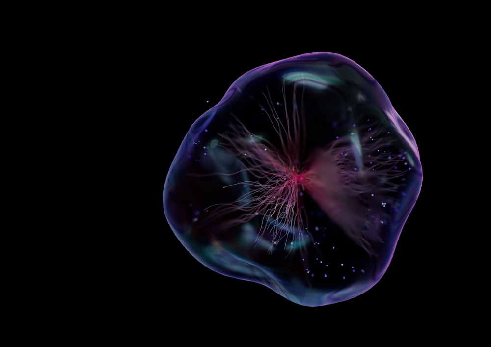 L'immagine di una medusa al buio