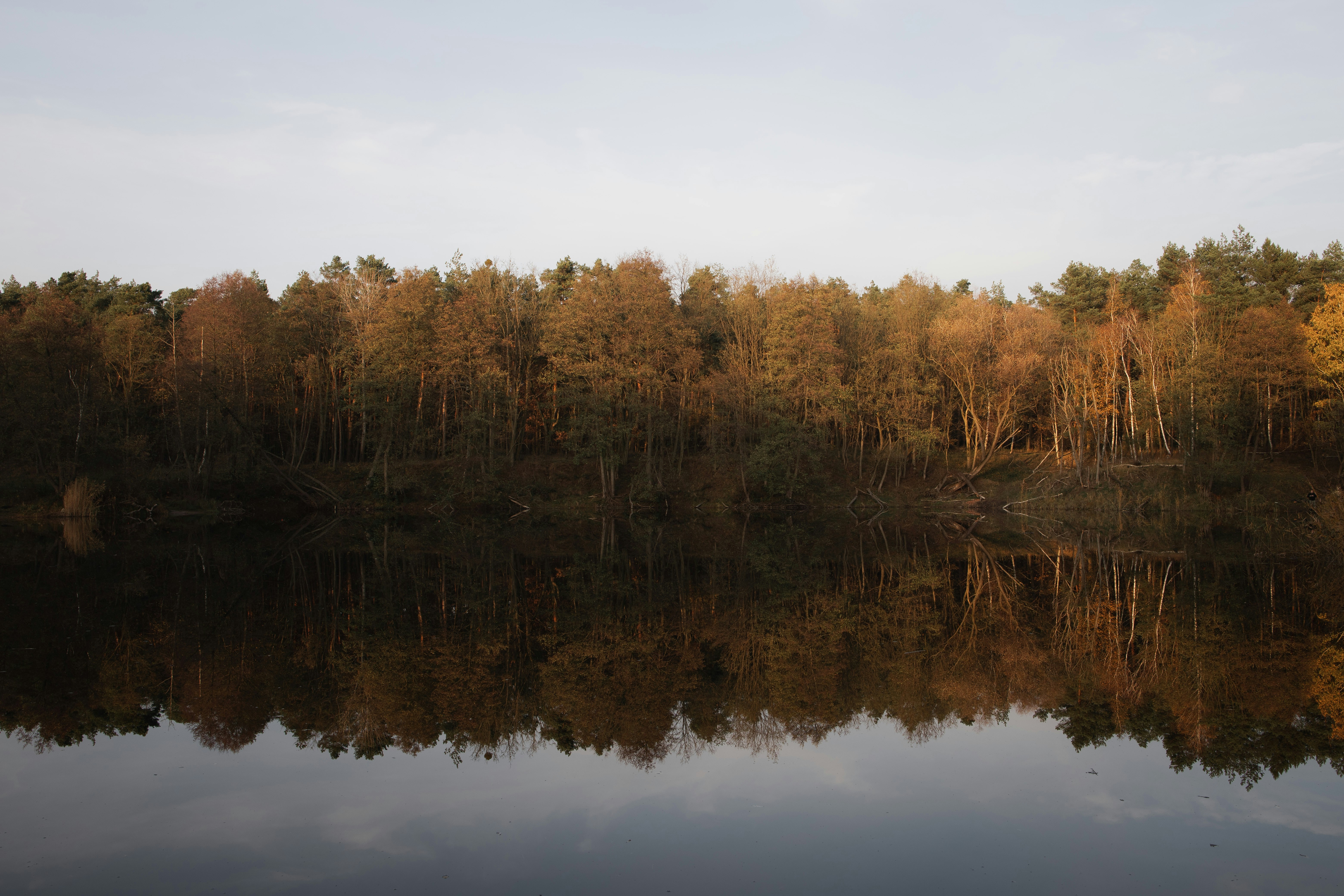 Photo by victor_vector