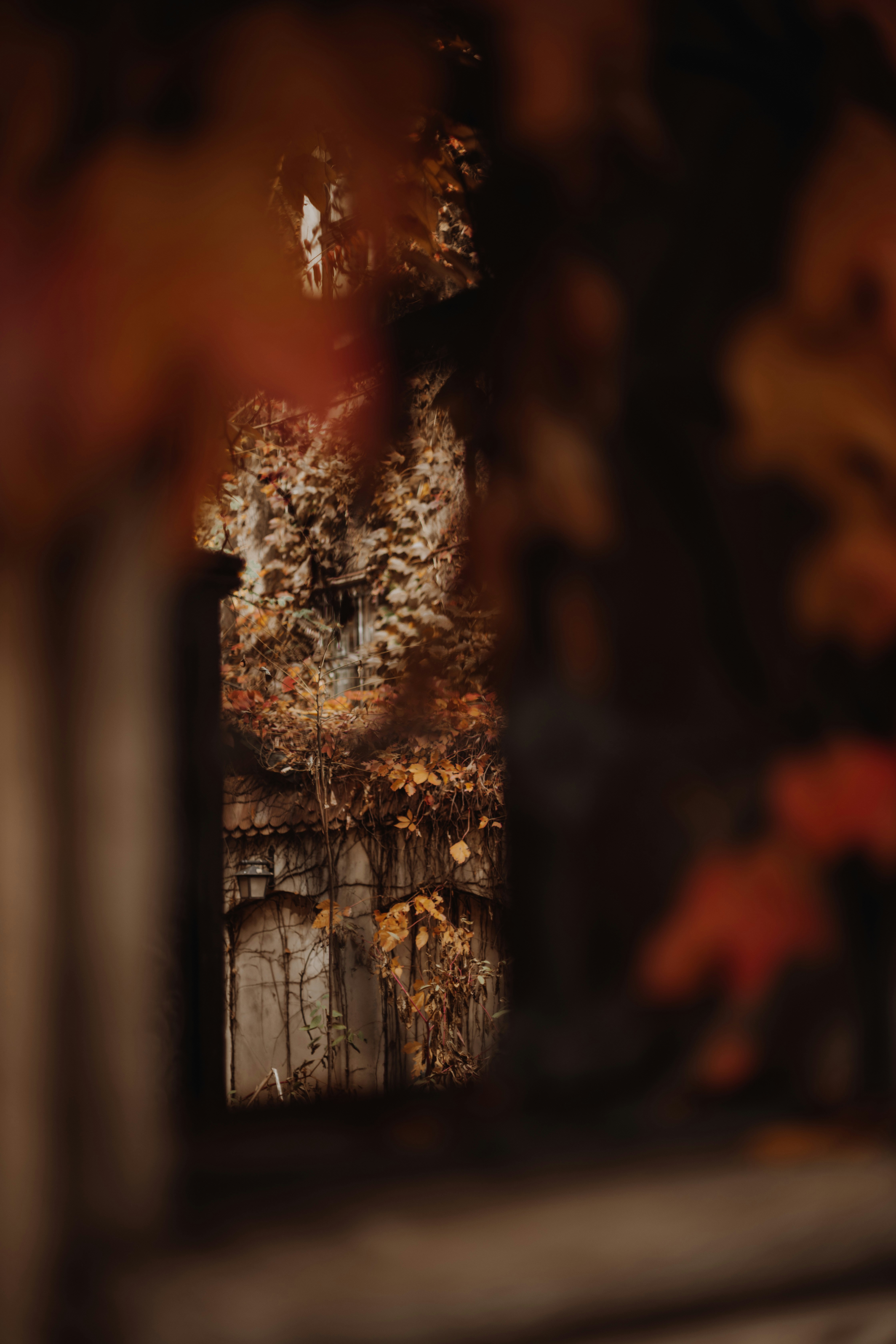 Photo by sabinasturzu