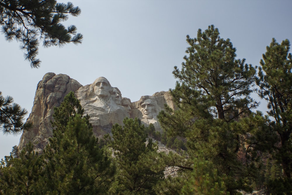 a view of a mountain with trees around it