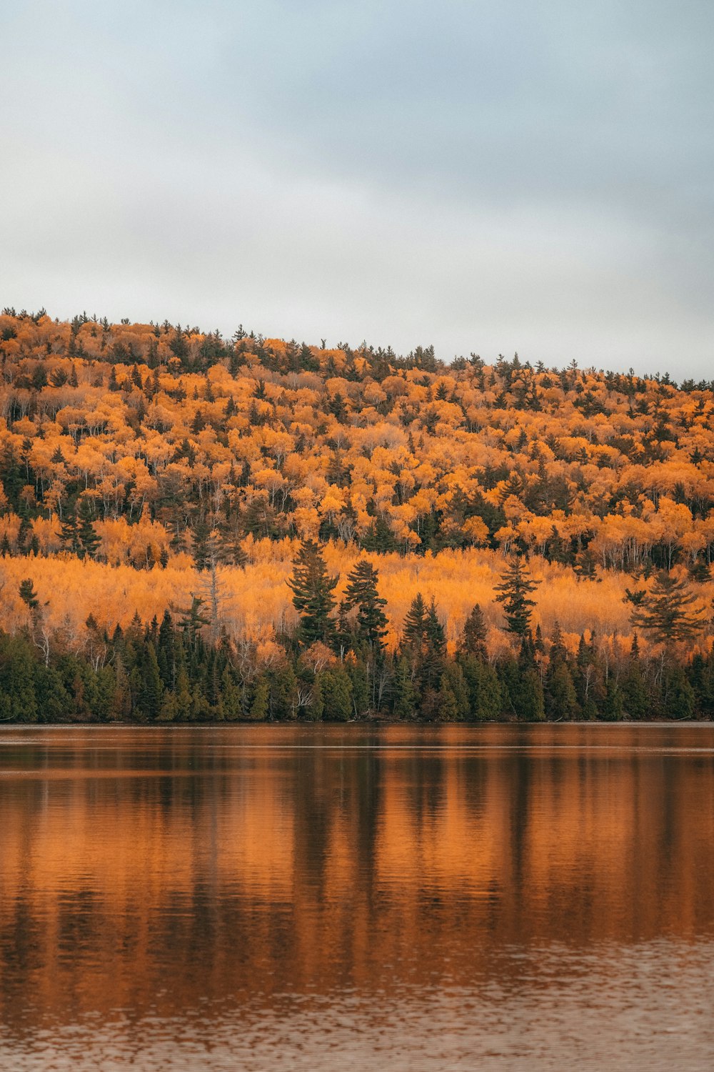 a large body of water with trees on a hill in the background