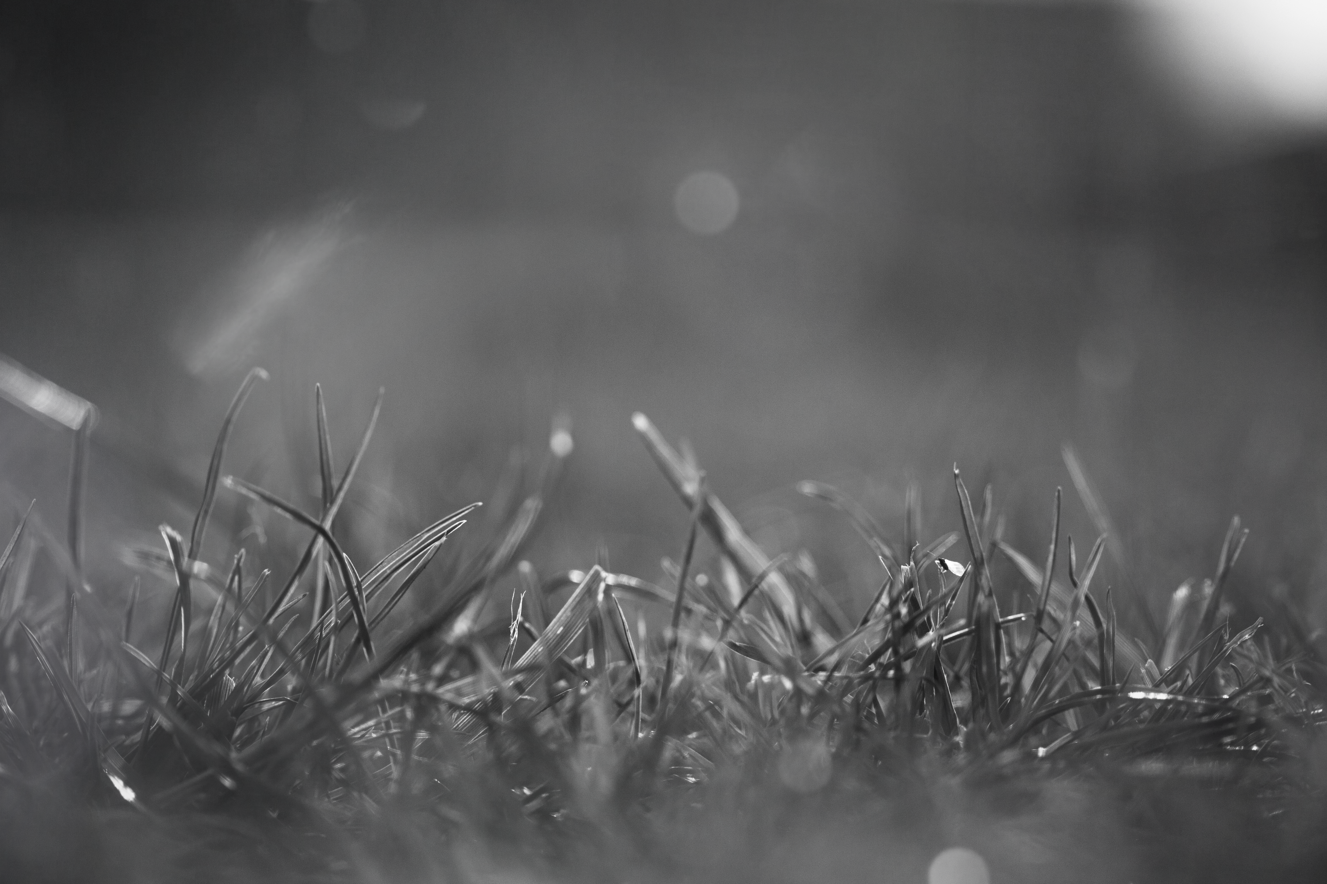 Photo by photographer_esmihel