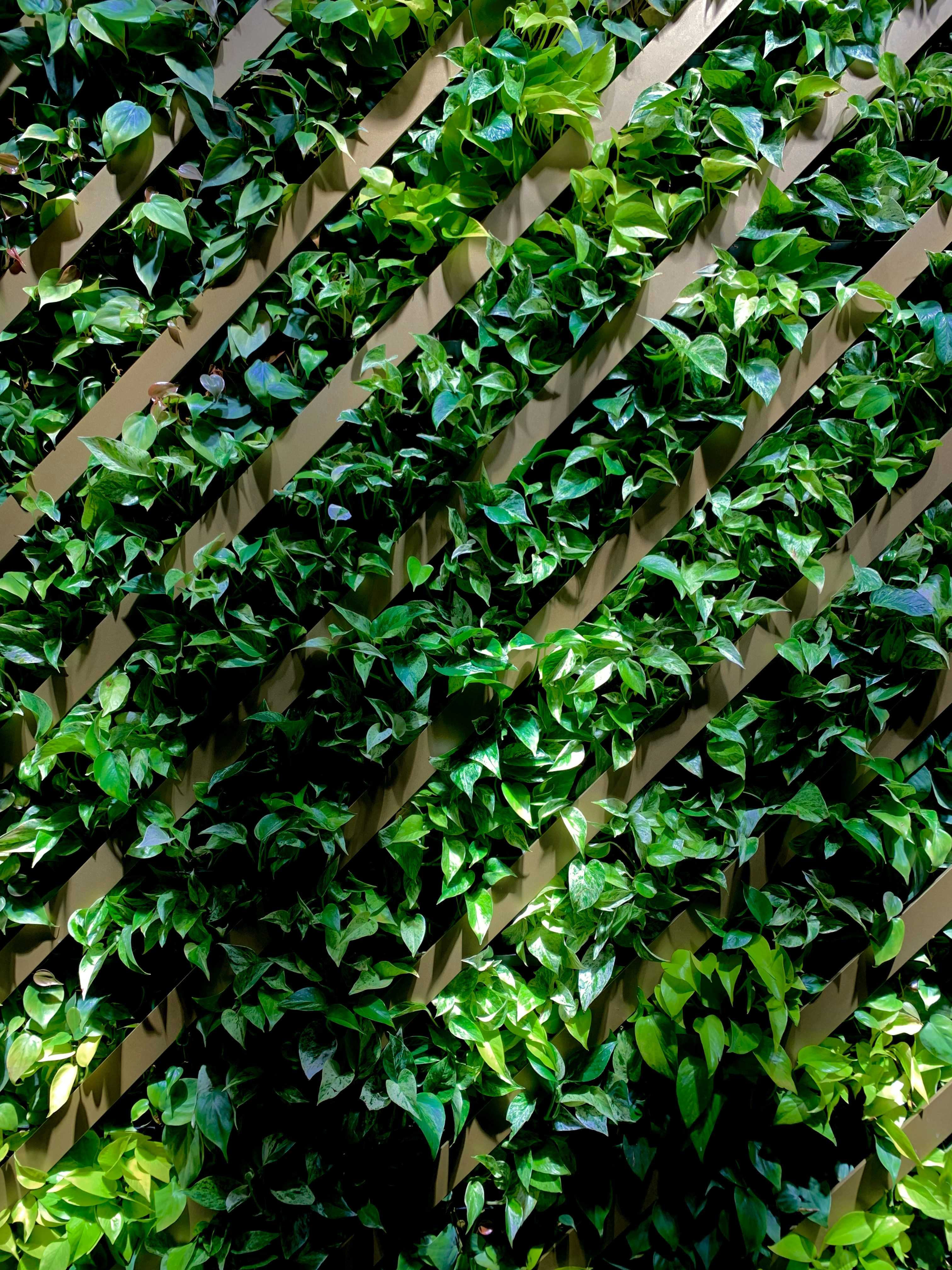 Jardim Vertical Luxuoso