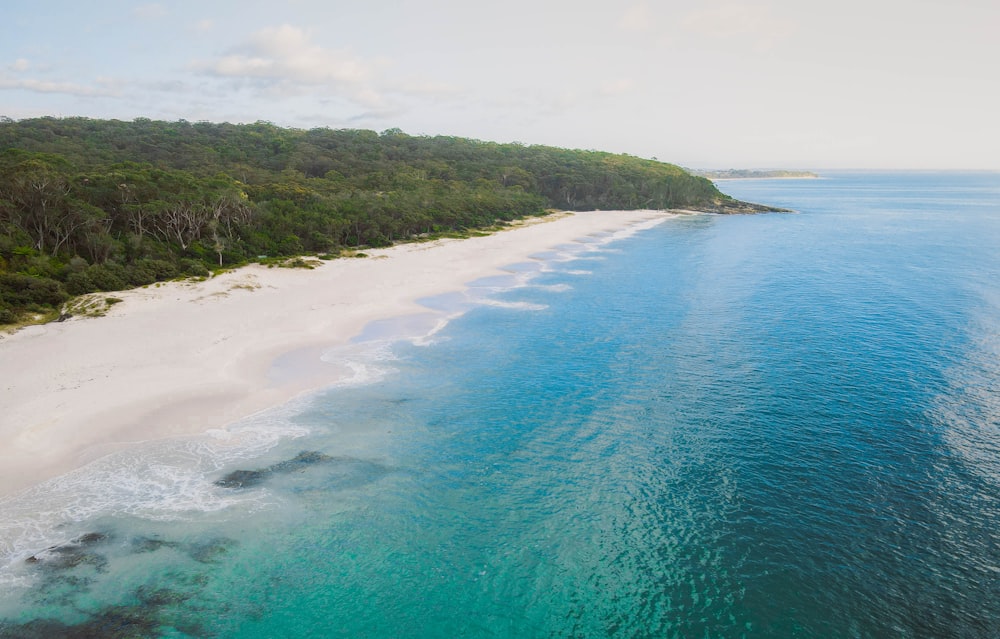 an aerial view of a beach and a forested area