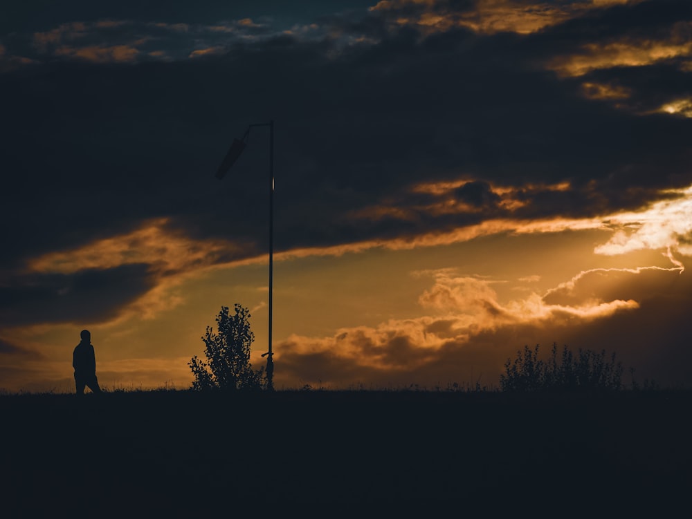 a person standing in a field at sunset