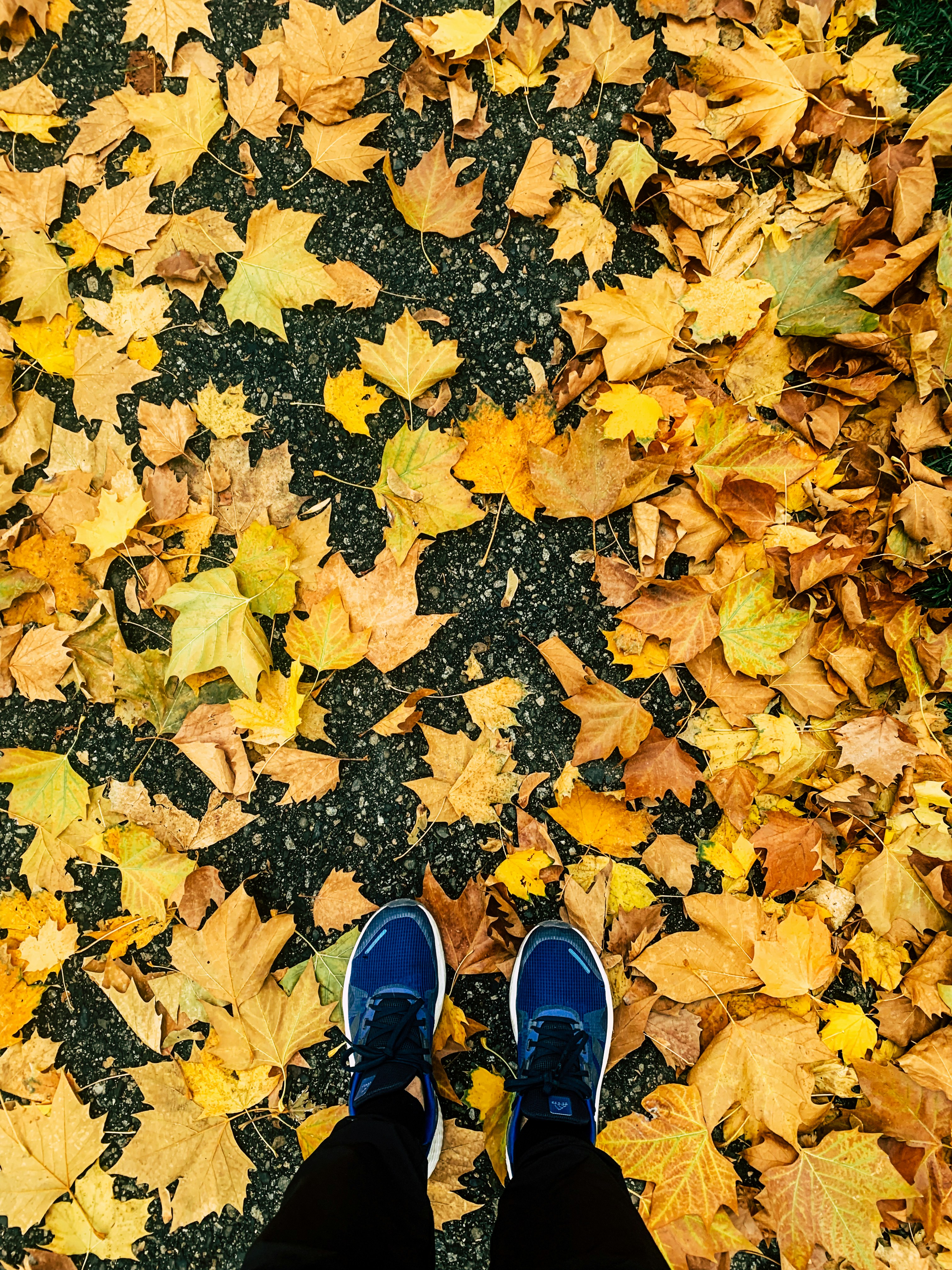 Photo by kolbymilton