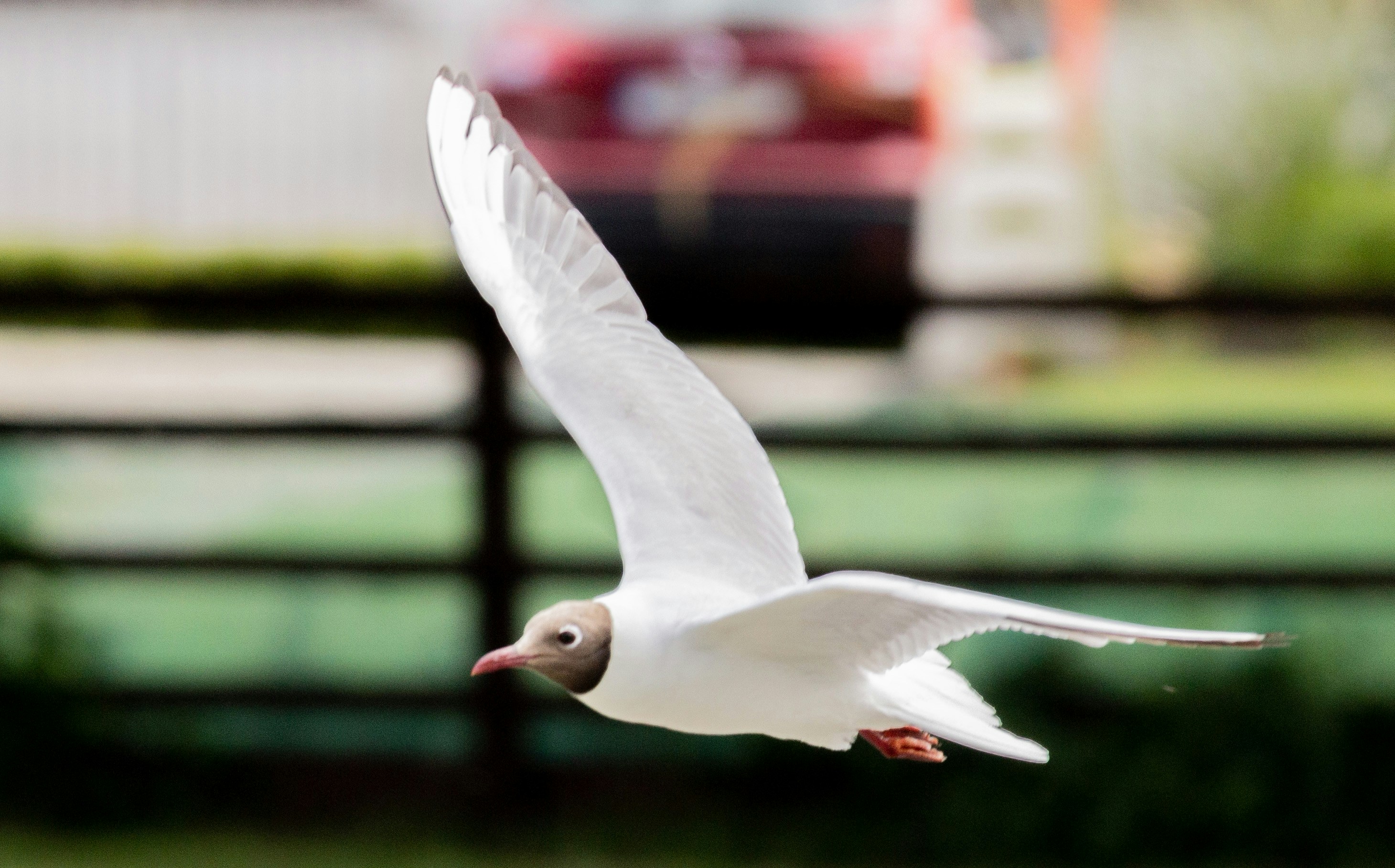 Photo by starkie_pics