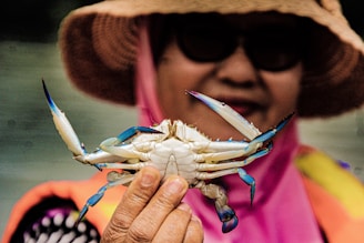 a close up of a person holding a crab
