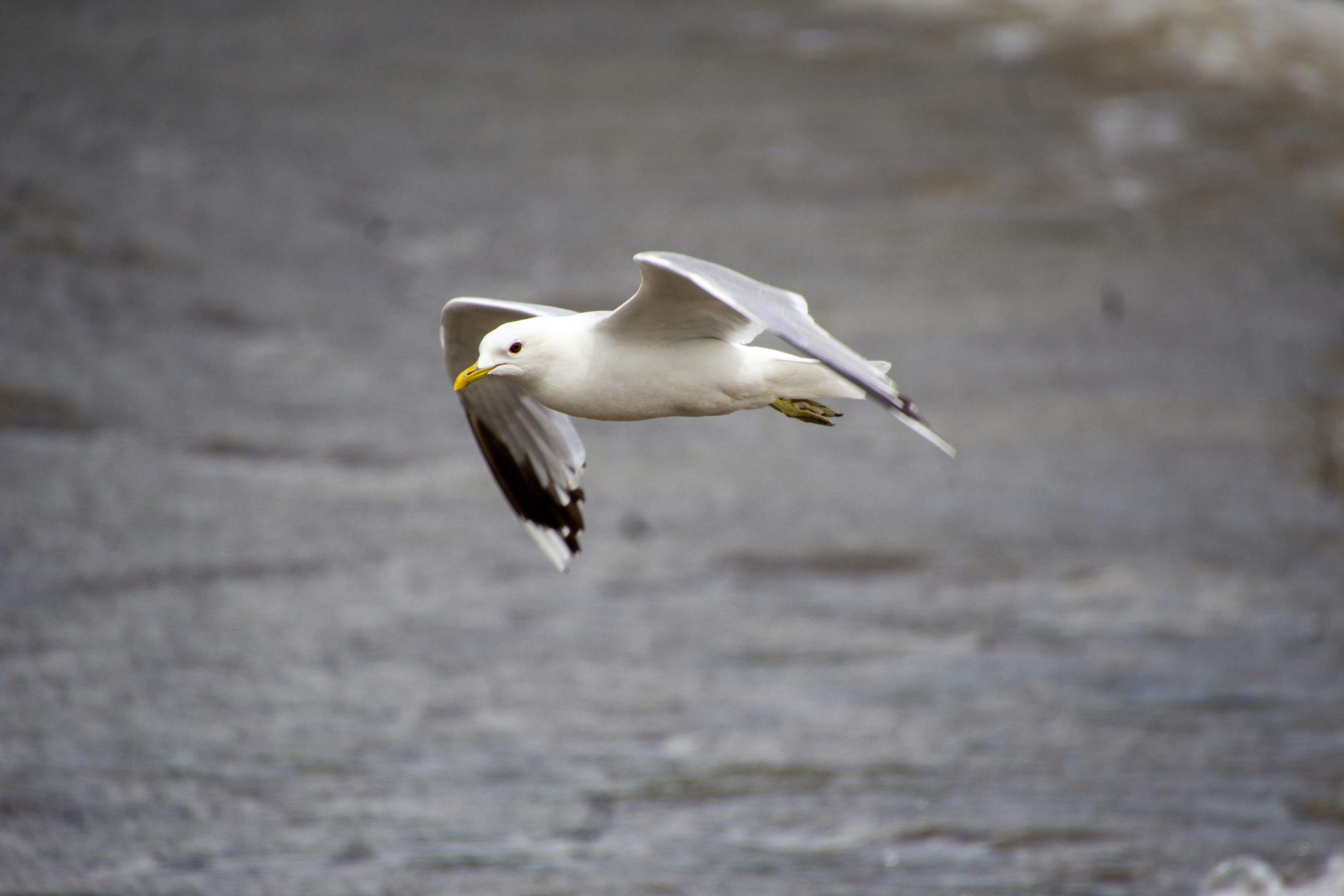 Photo by starkie_pics