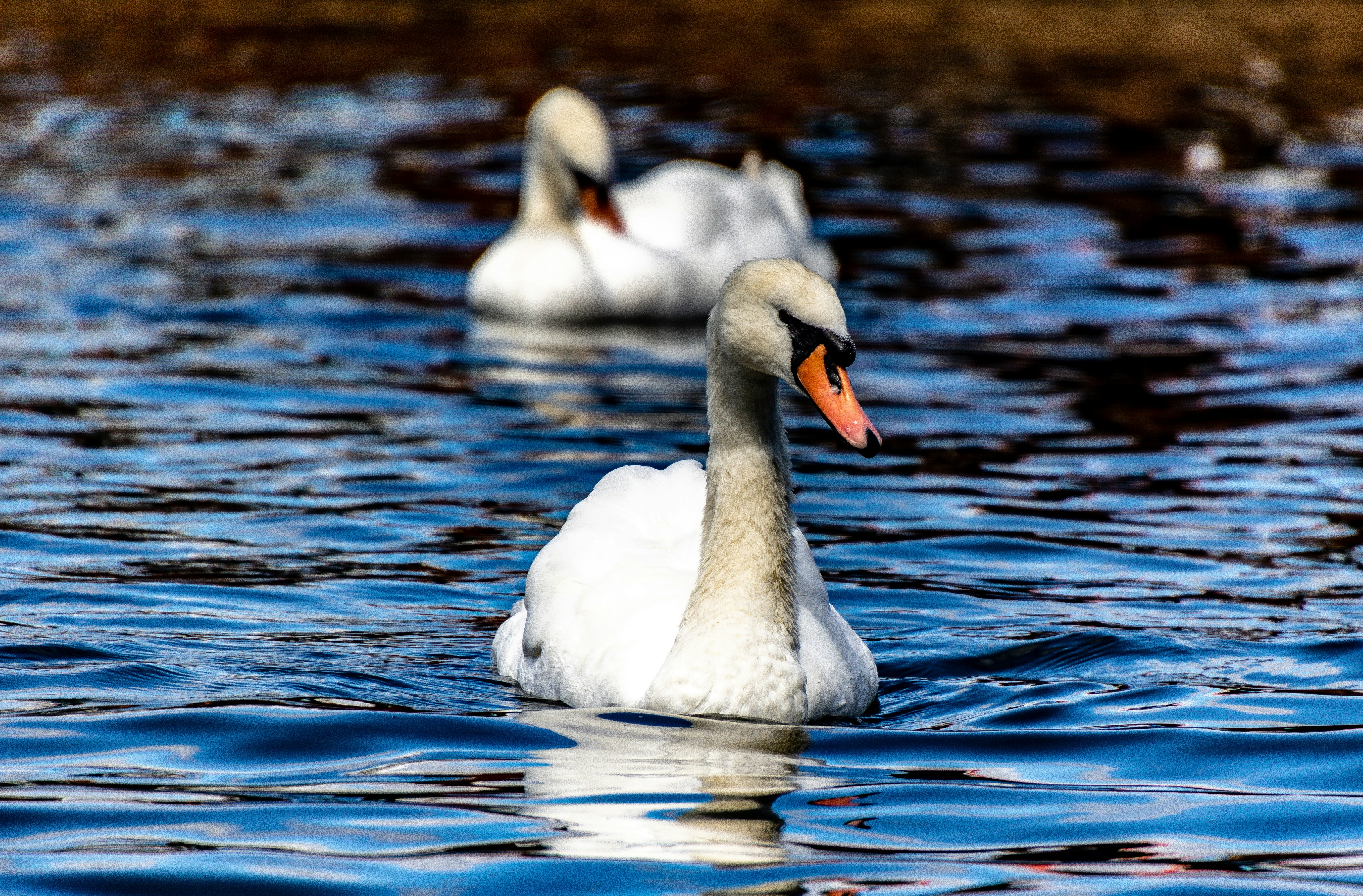 Photo by starkie_pics