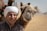 Smiling traveler standing beside a camel at sunset in the Sahara Desert.