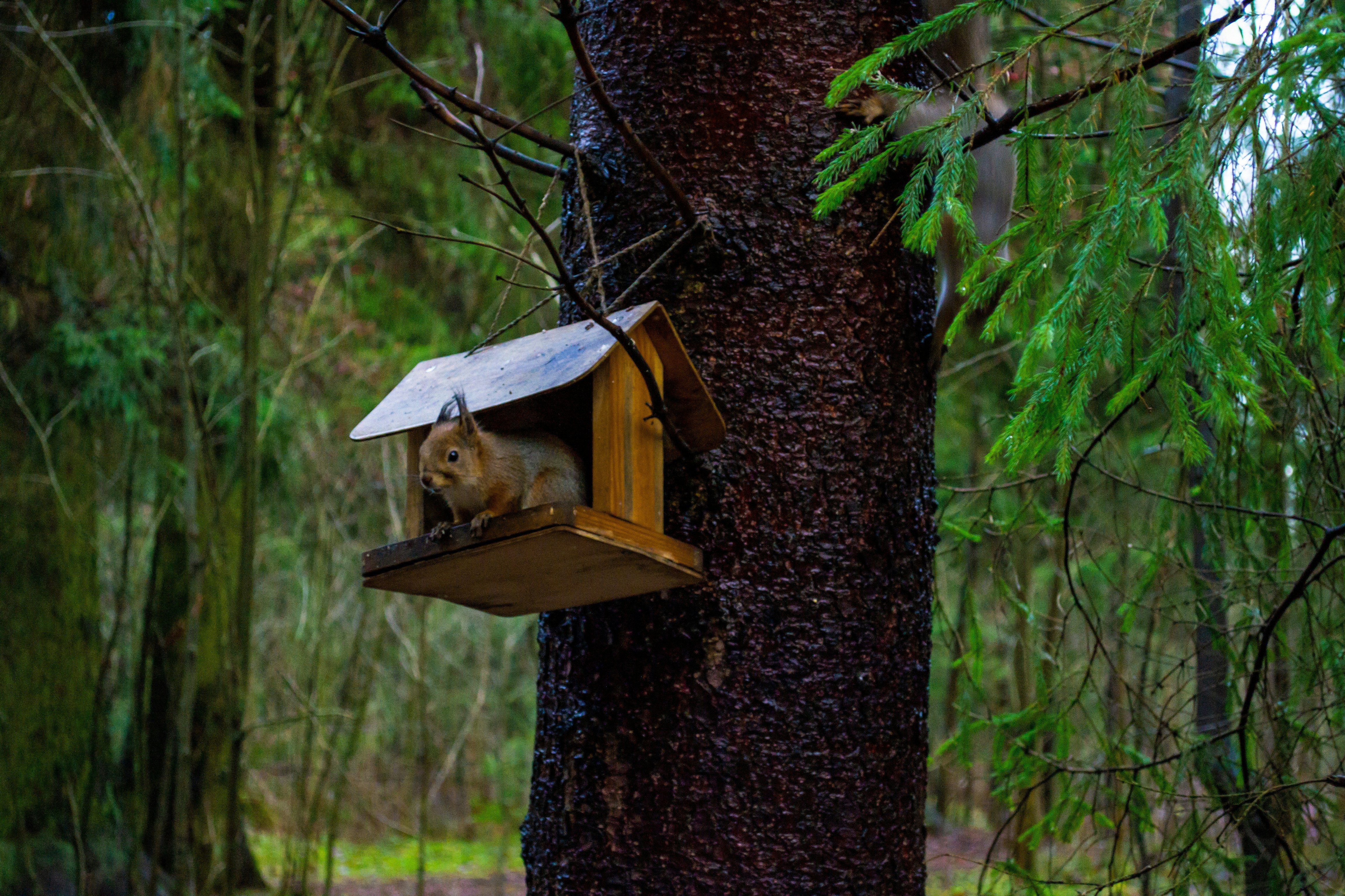 Photo by ashsaribekyan