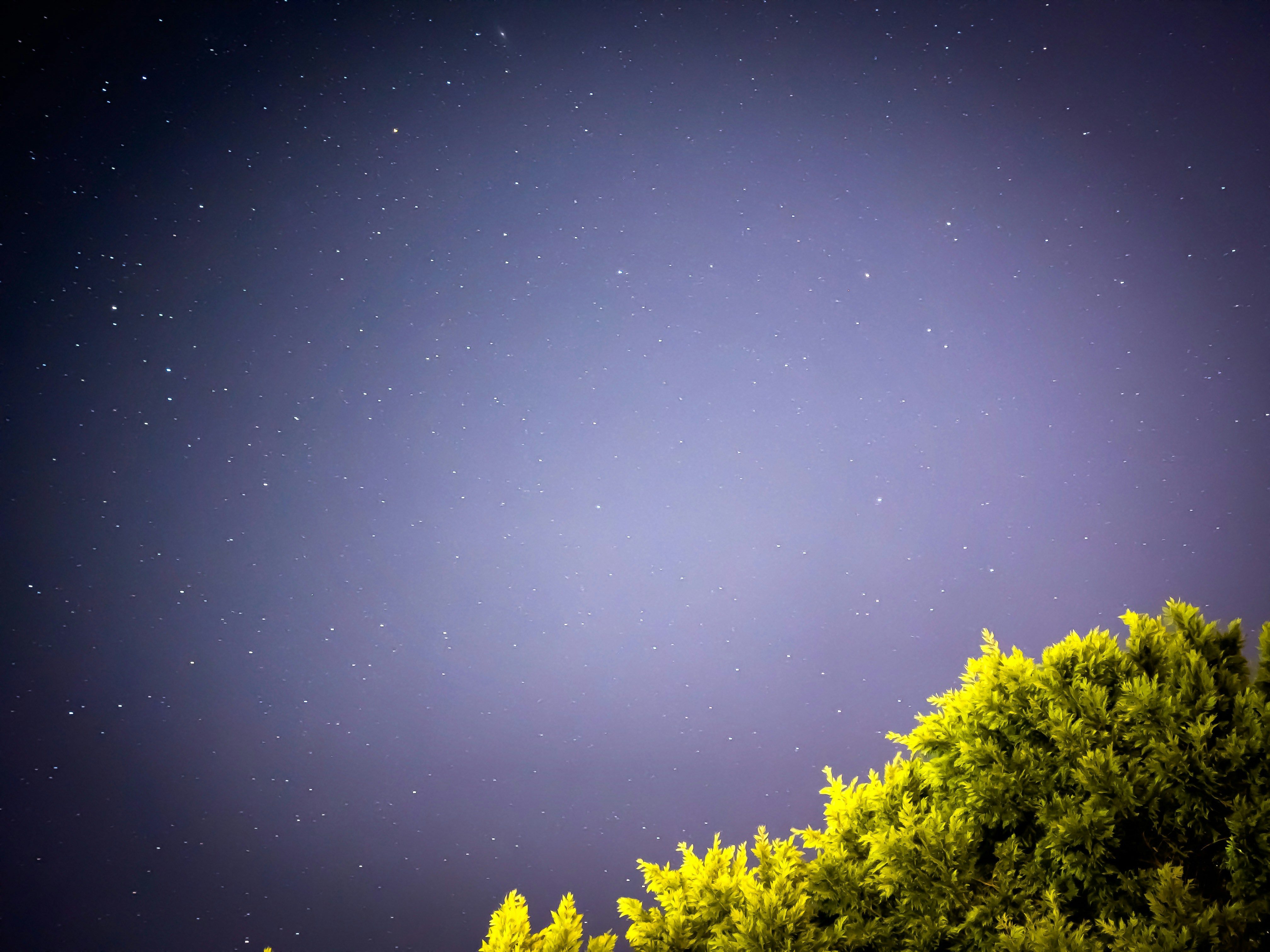 Photo by josiahmanuel123