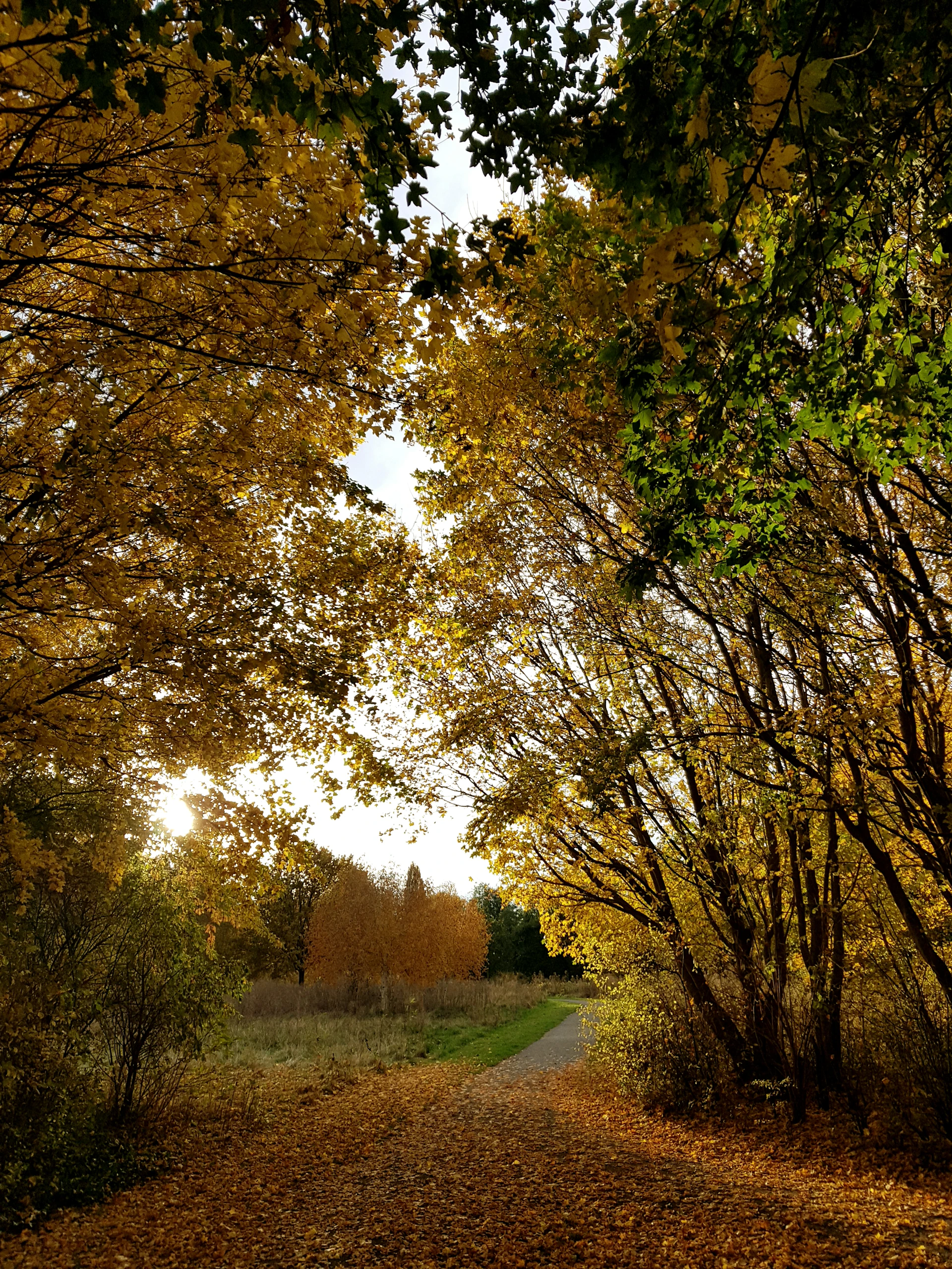 gray computer monitor