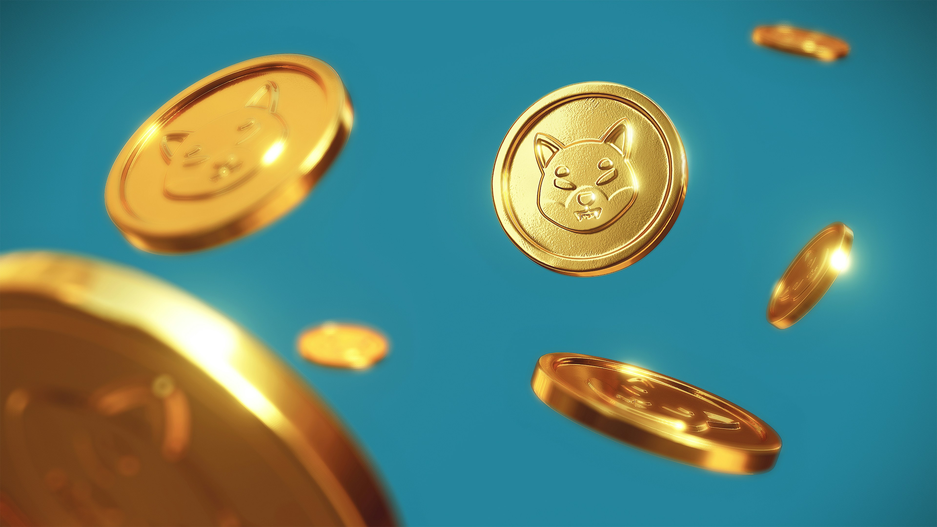 Shiba Inu coin concept.