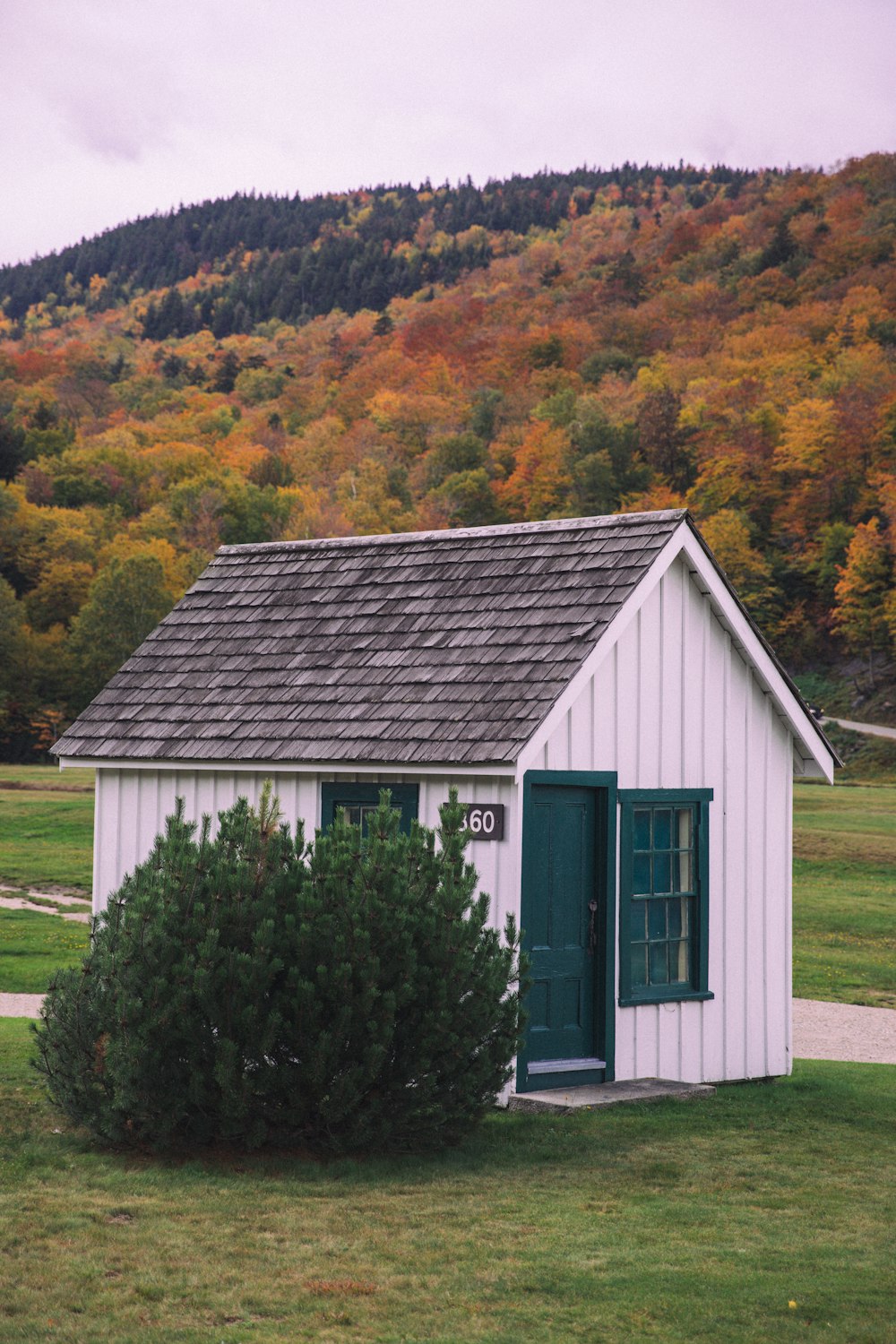 a small white building with a green door